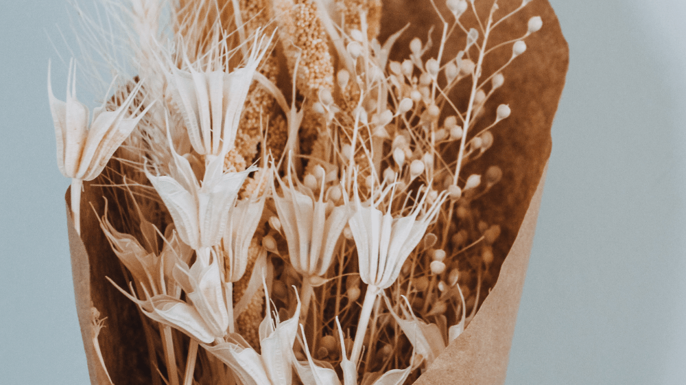 Umweltbewusst und dekorativ: Trockenblumen liegen voll im Trend - Roo's Gift Shop