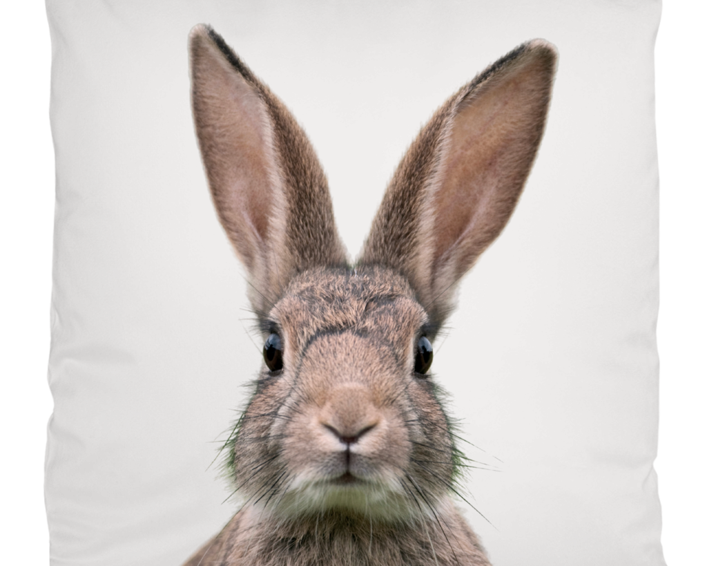 Flauschiges Hasenkissen Ostern | Bezug in 40 x 40 cm Printegy