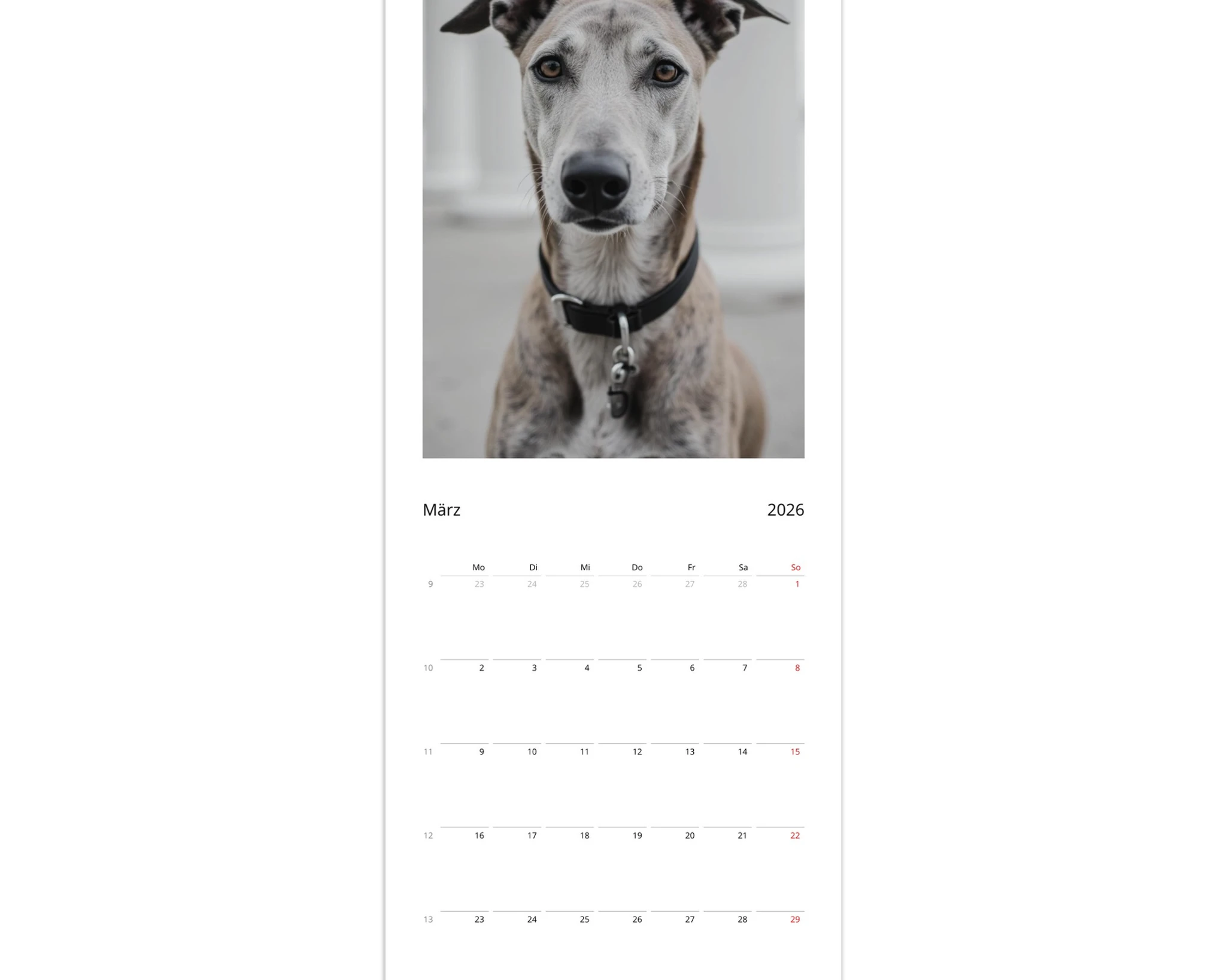 1cdab234-cd94-4402-941a-0e9d25694282