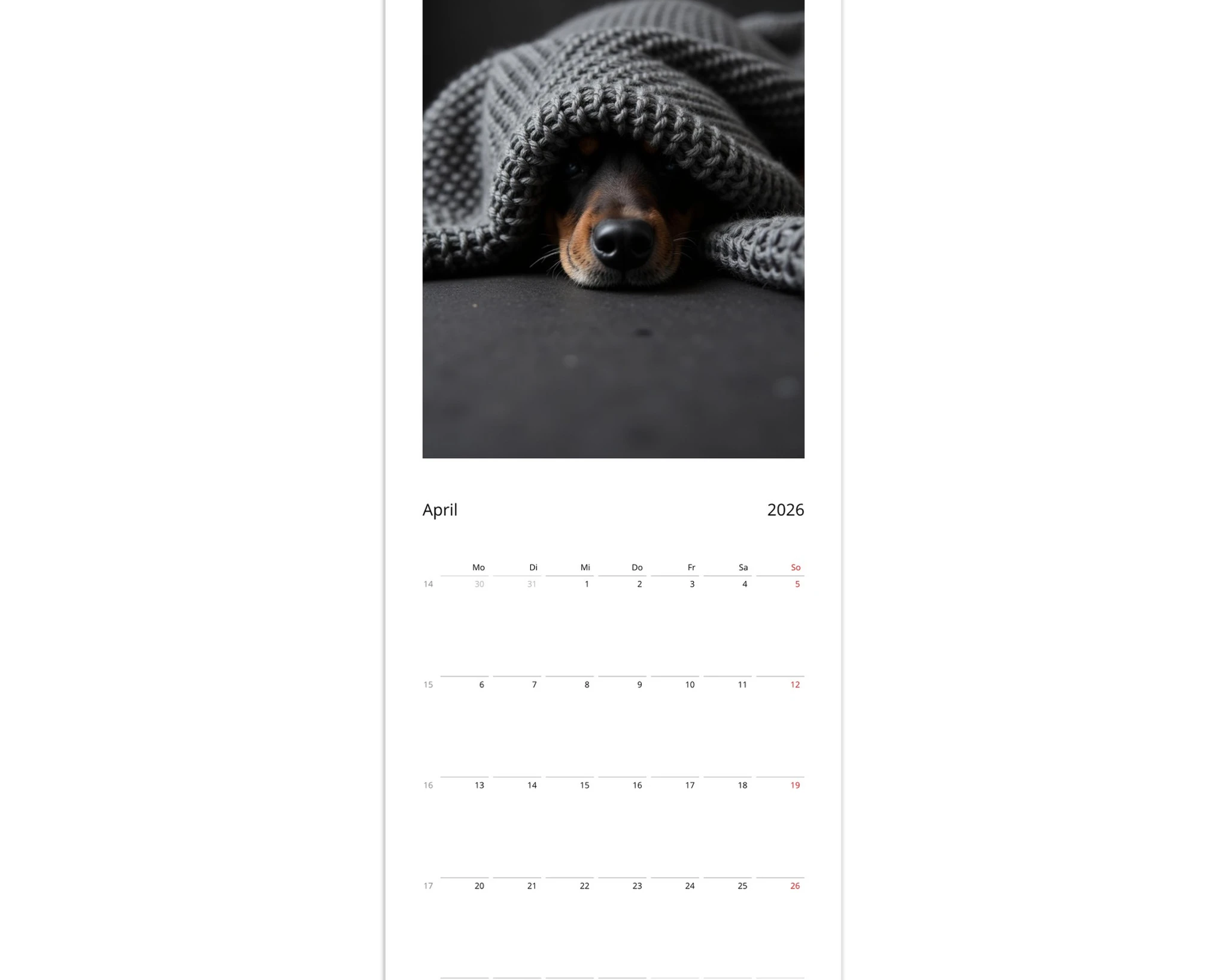 260422c9-4a0a-4179-bf95-1495caf8aadd