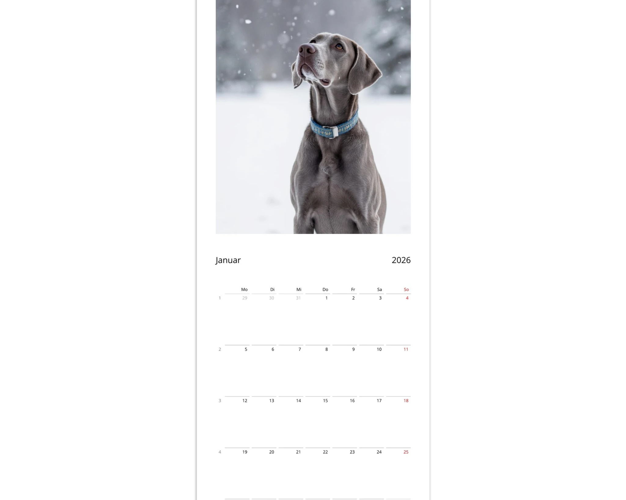 26e329a7-4850-44c0-b0bb-982e7ef12a3c