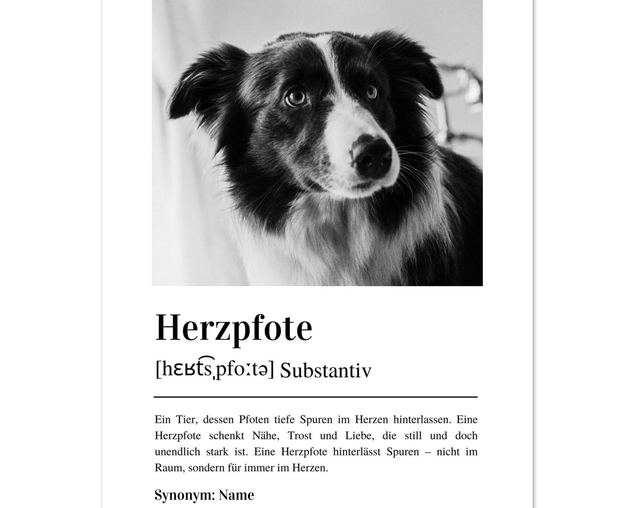 2cc422ca-70cc-4b3f-937f-36988e7ccdf8