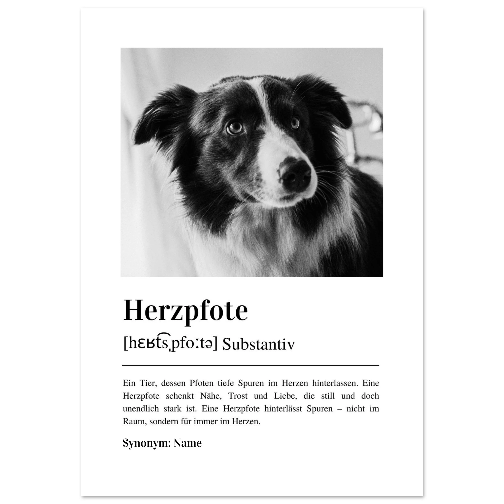 2cc422ca-70cc-4b3f-937f-36988e7ccdf8