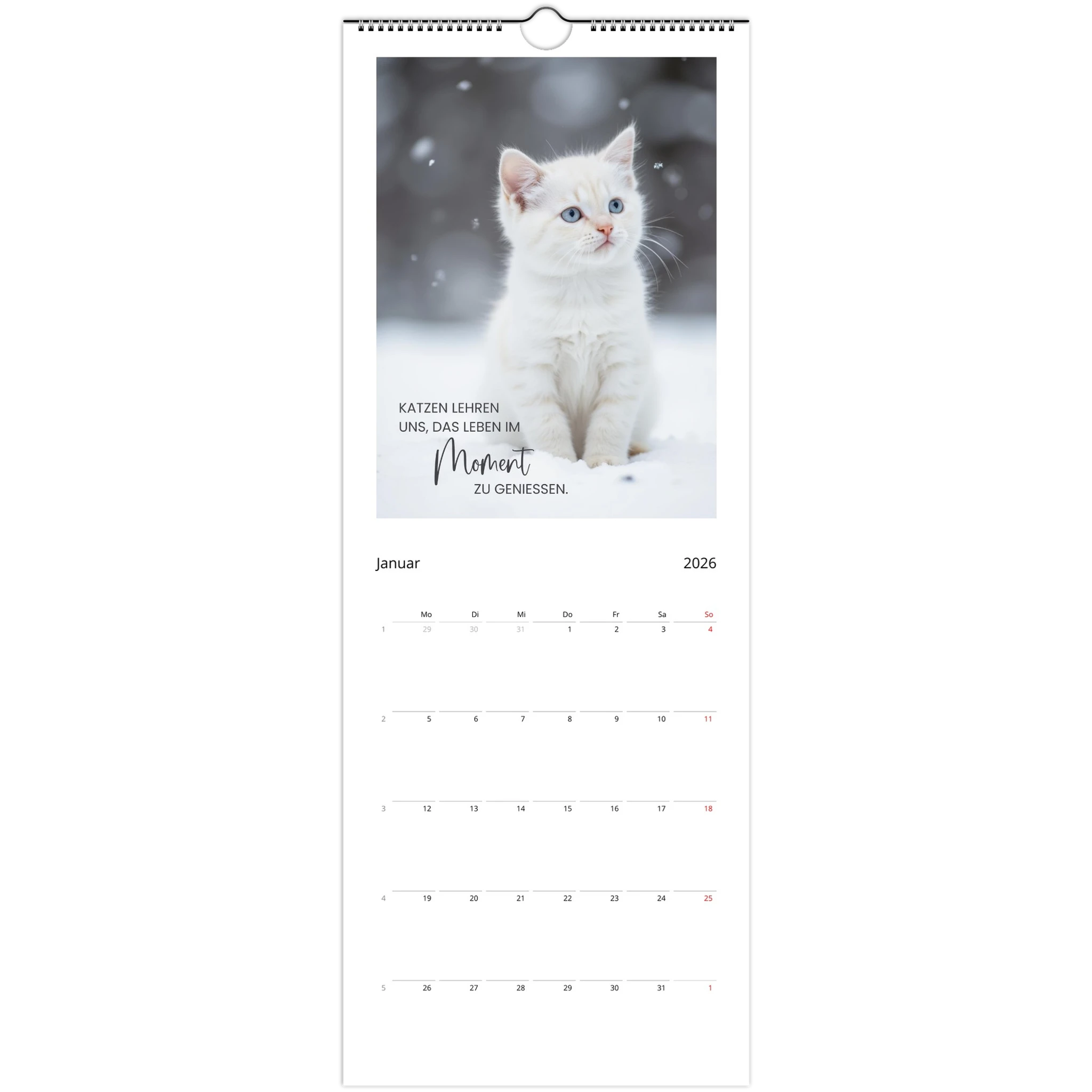 33e1a4dc-67b3-4247-b1bc-1f104aba2641