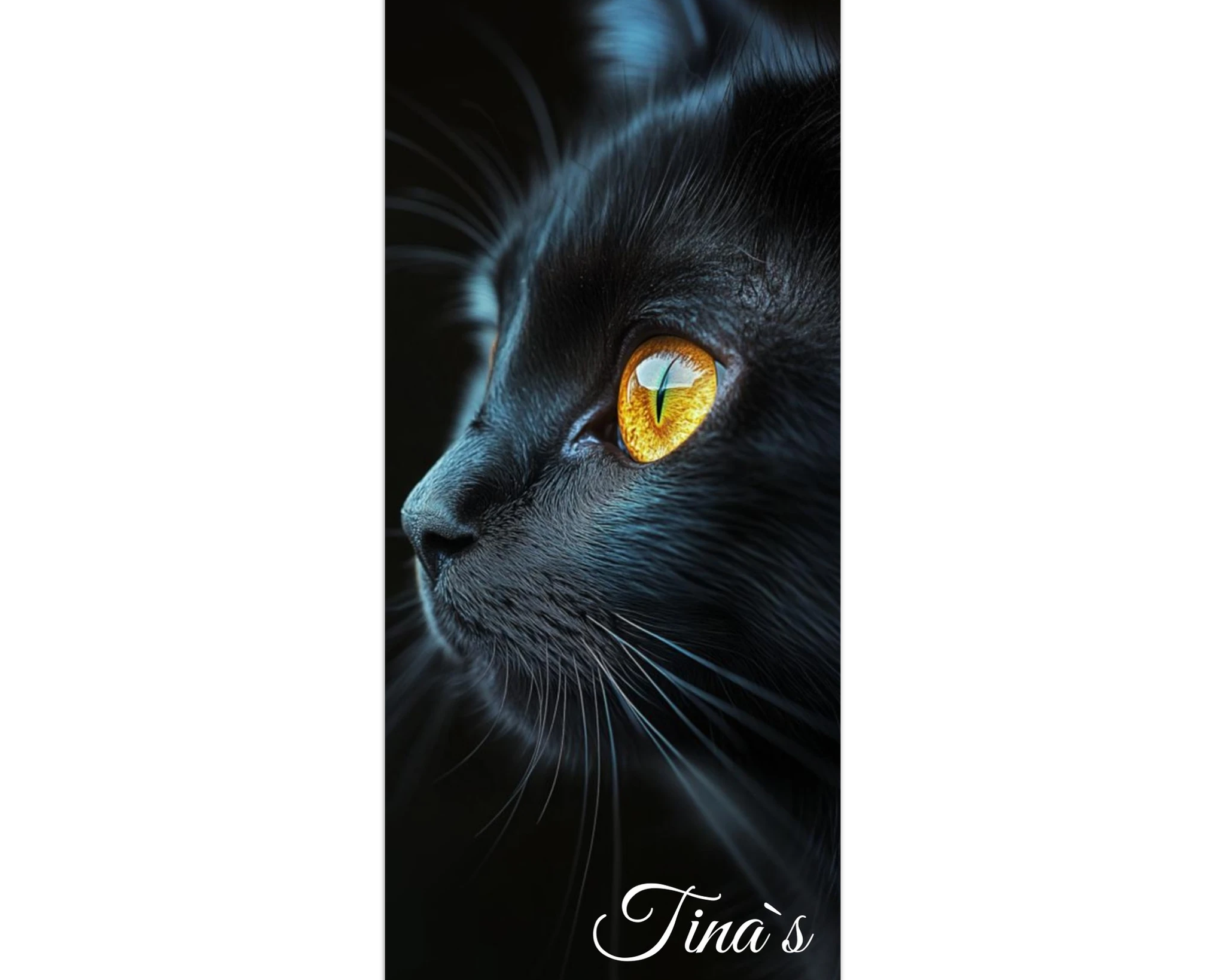 3652a06c-9527-4c06-bc75-ff6752218007