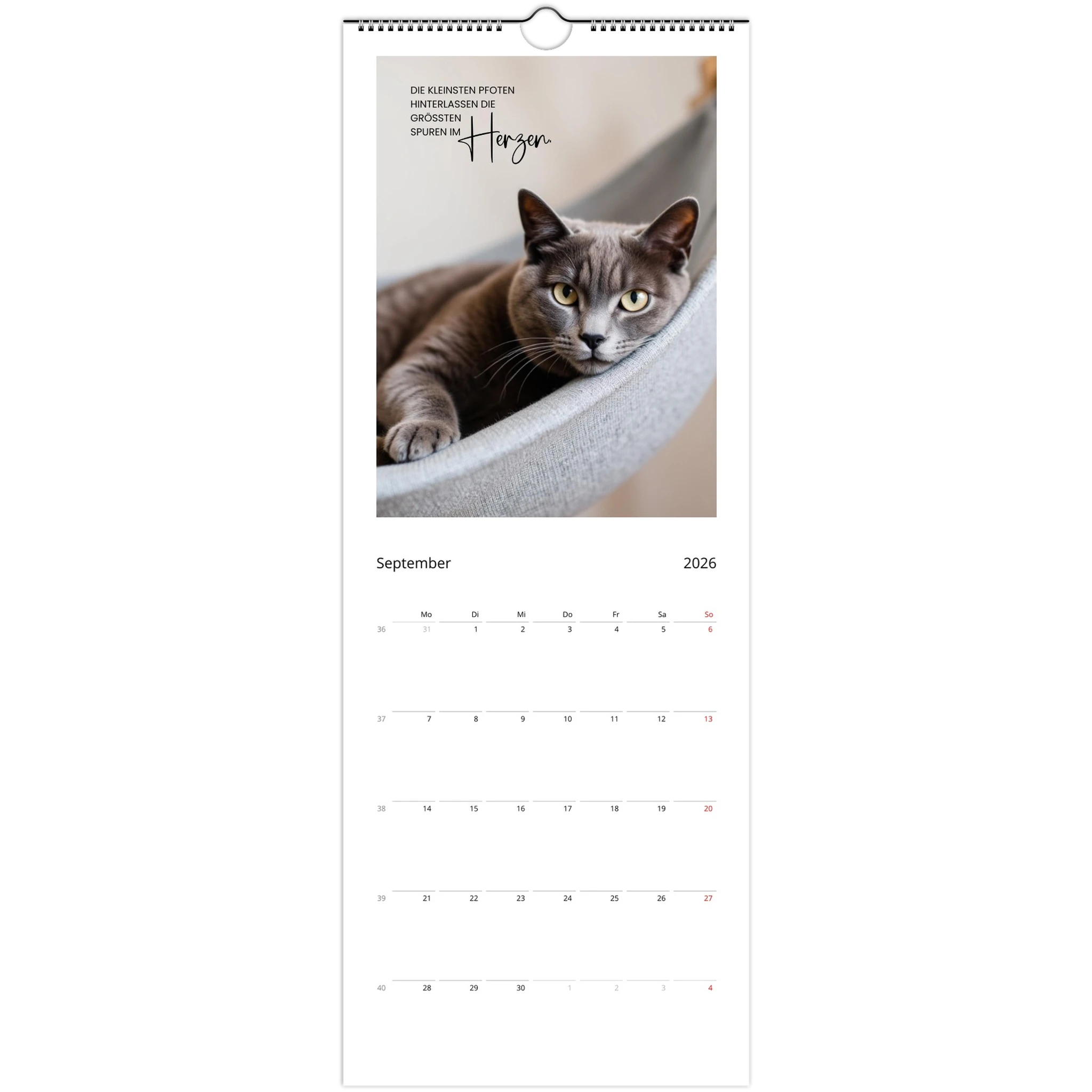 44e205ad-200d-4846-8f35-5118905f586f