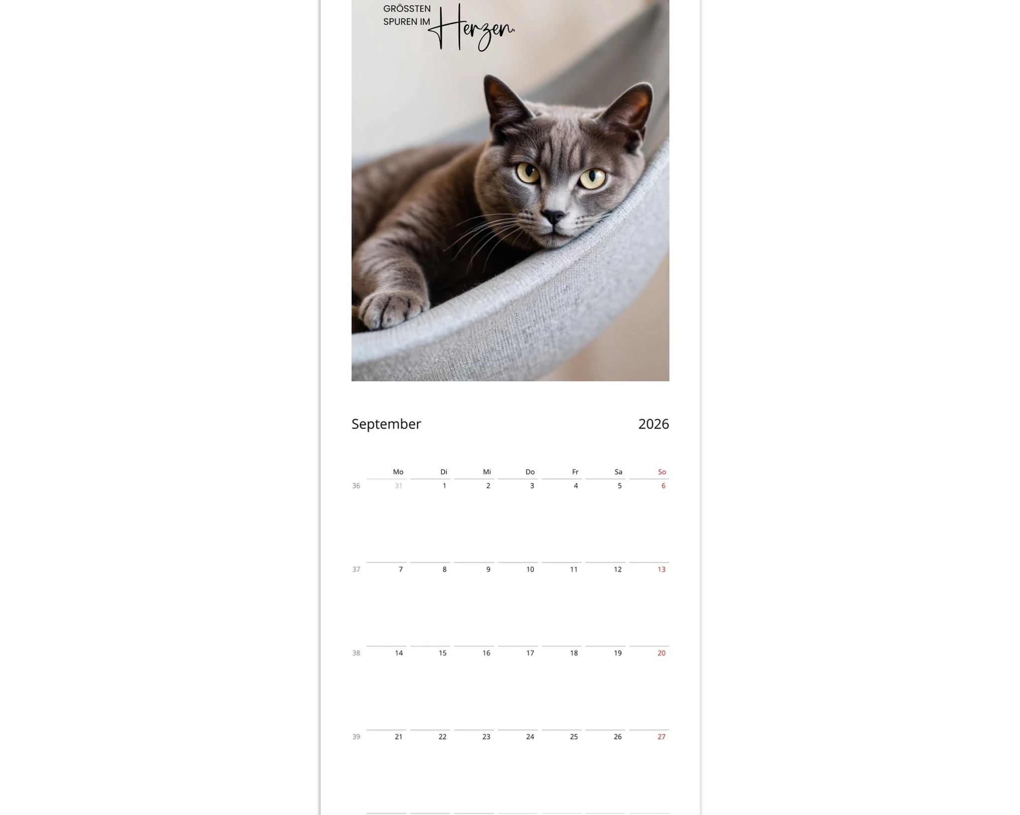 8b45ef22-197f-410a-84fd-d170da06e2cd