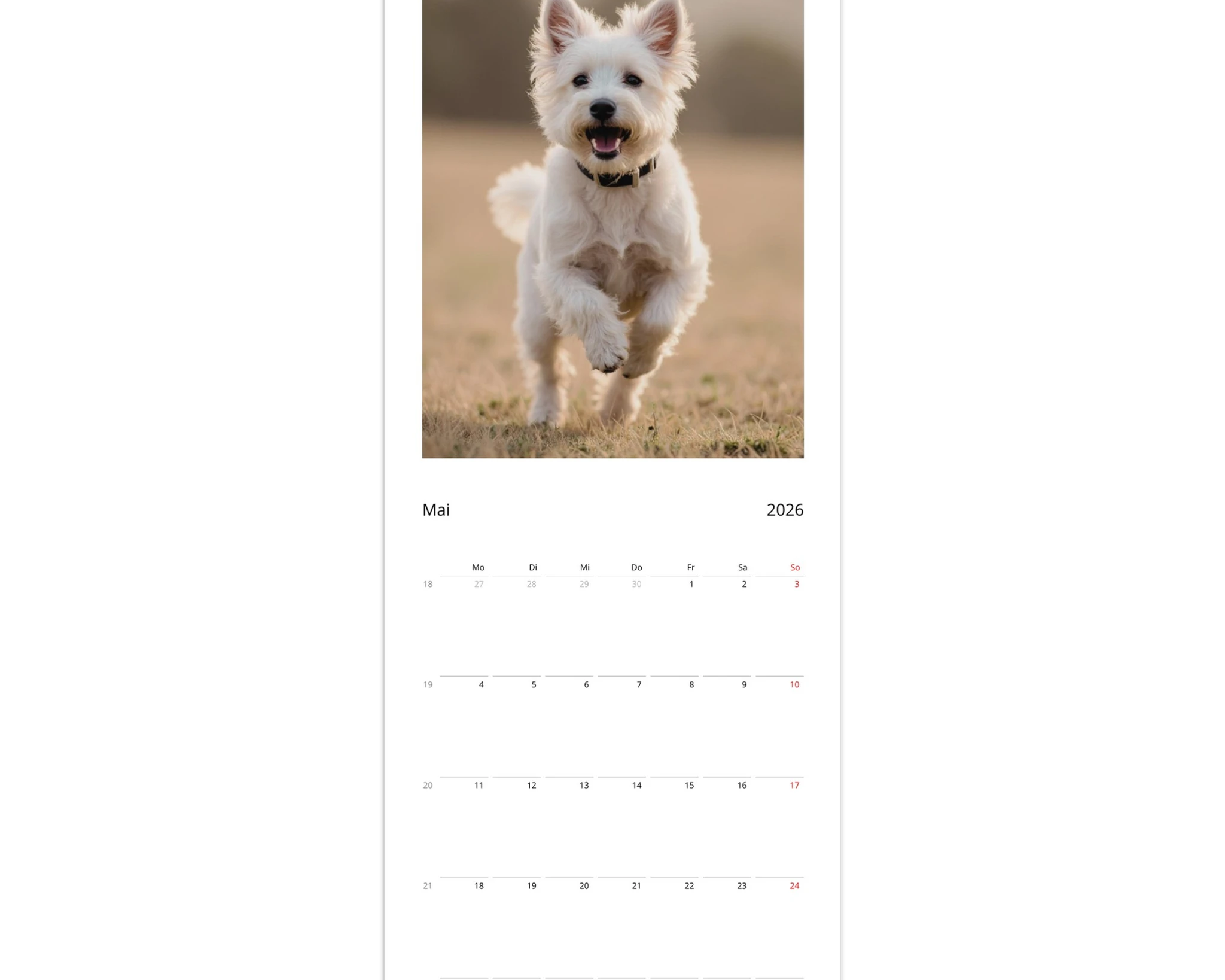 9cac7050-4c1d-4de3-bd34-30ecf2a1c6fc