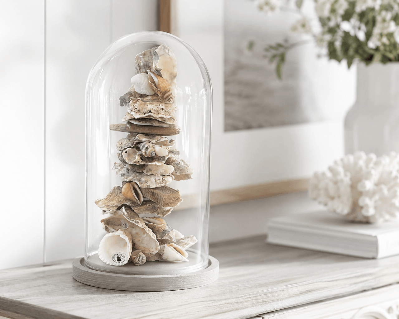 Objekt aus Austern Muscheln | Glas Sturz | Beach House Dekoration Roo's Gift Shop