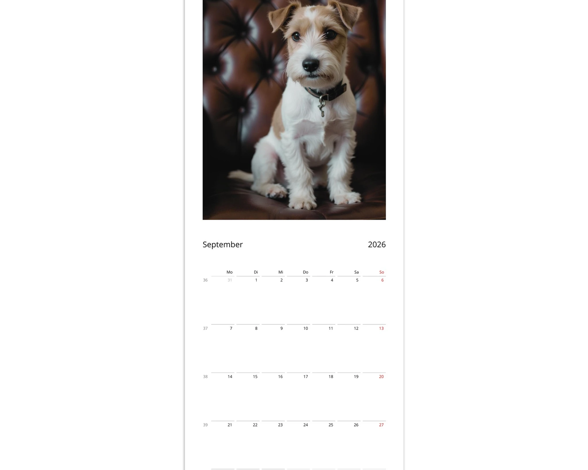 b68a5435-3e12-4406-affa-fd4619202859