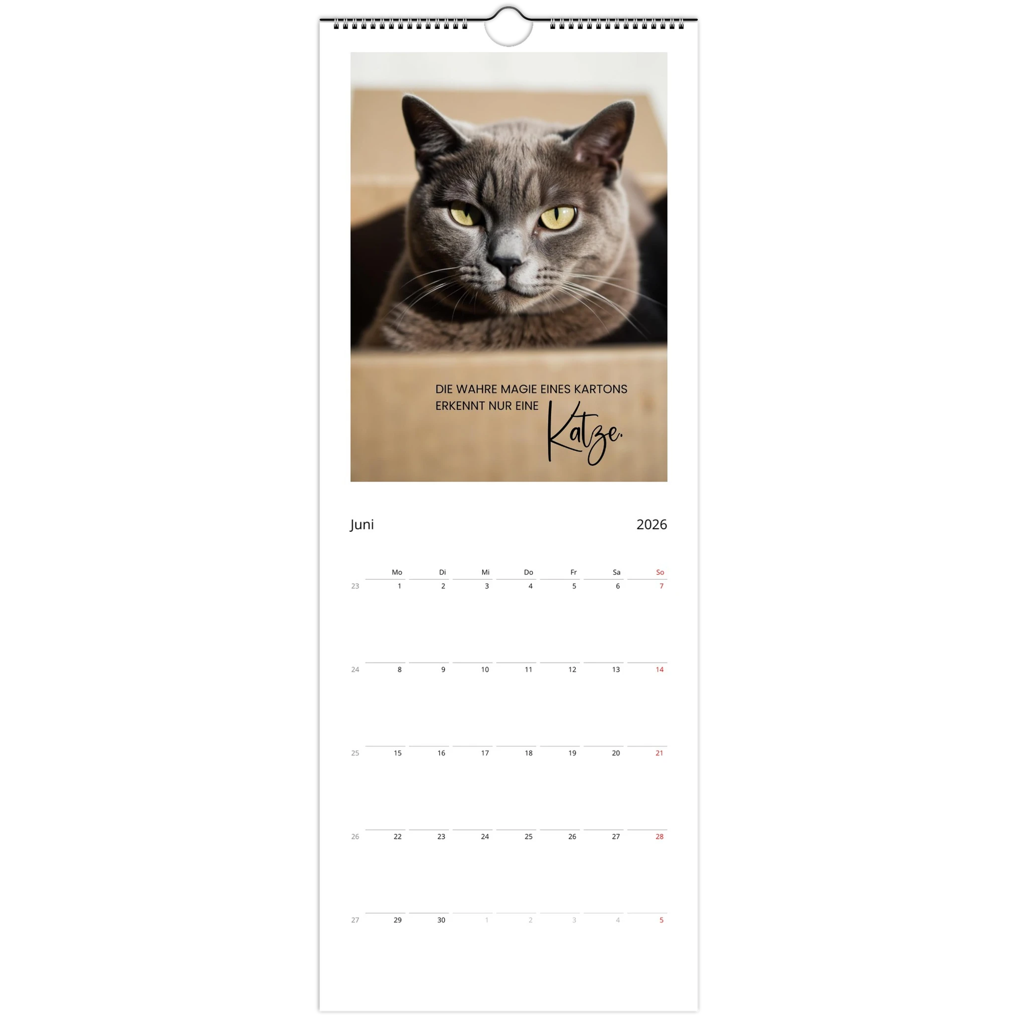 c56d3162-d094-4718-93ce-a83e4c38e386