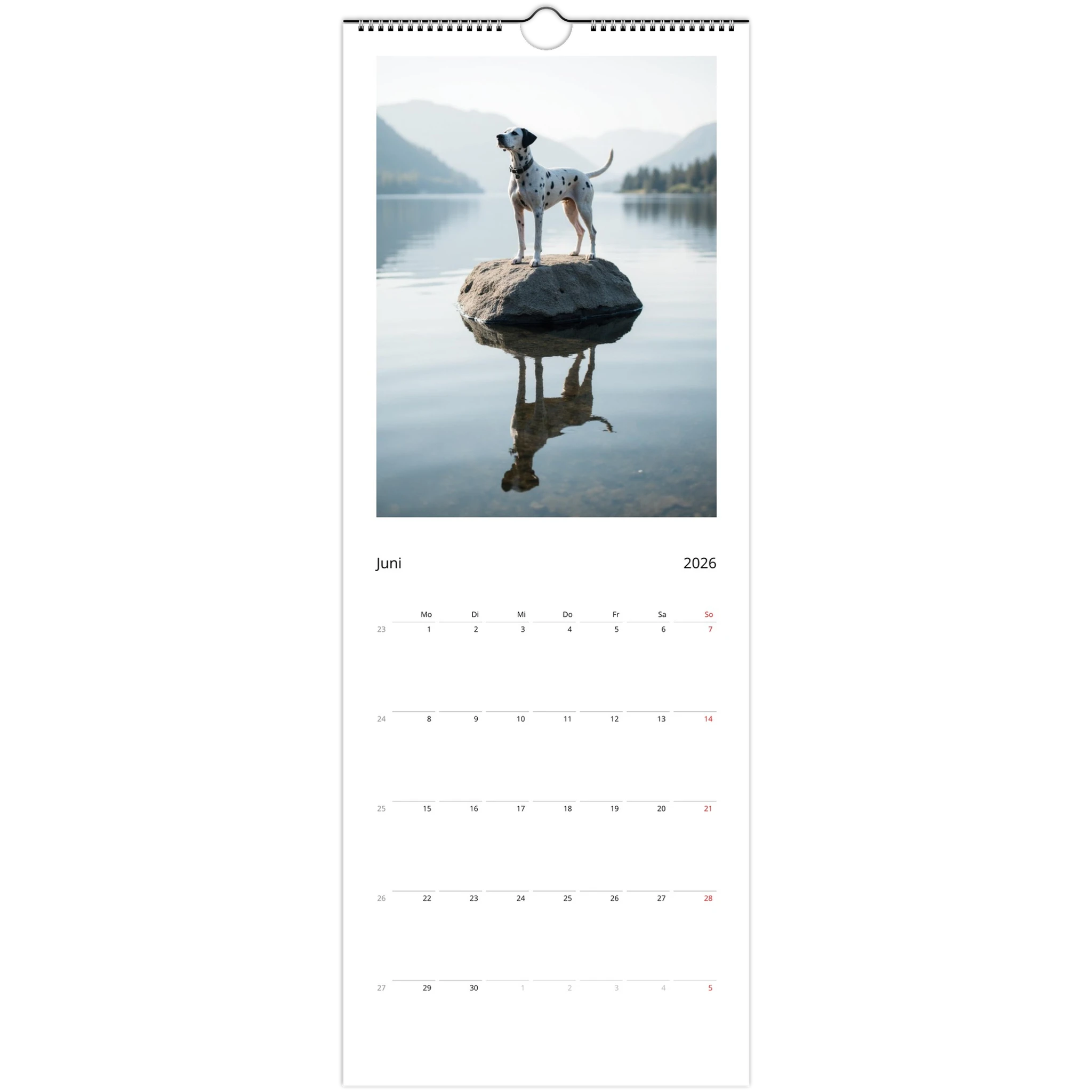 ce7b4d2f-0f03-46dd-9183-95cb2978cc40