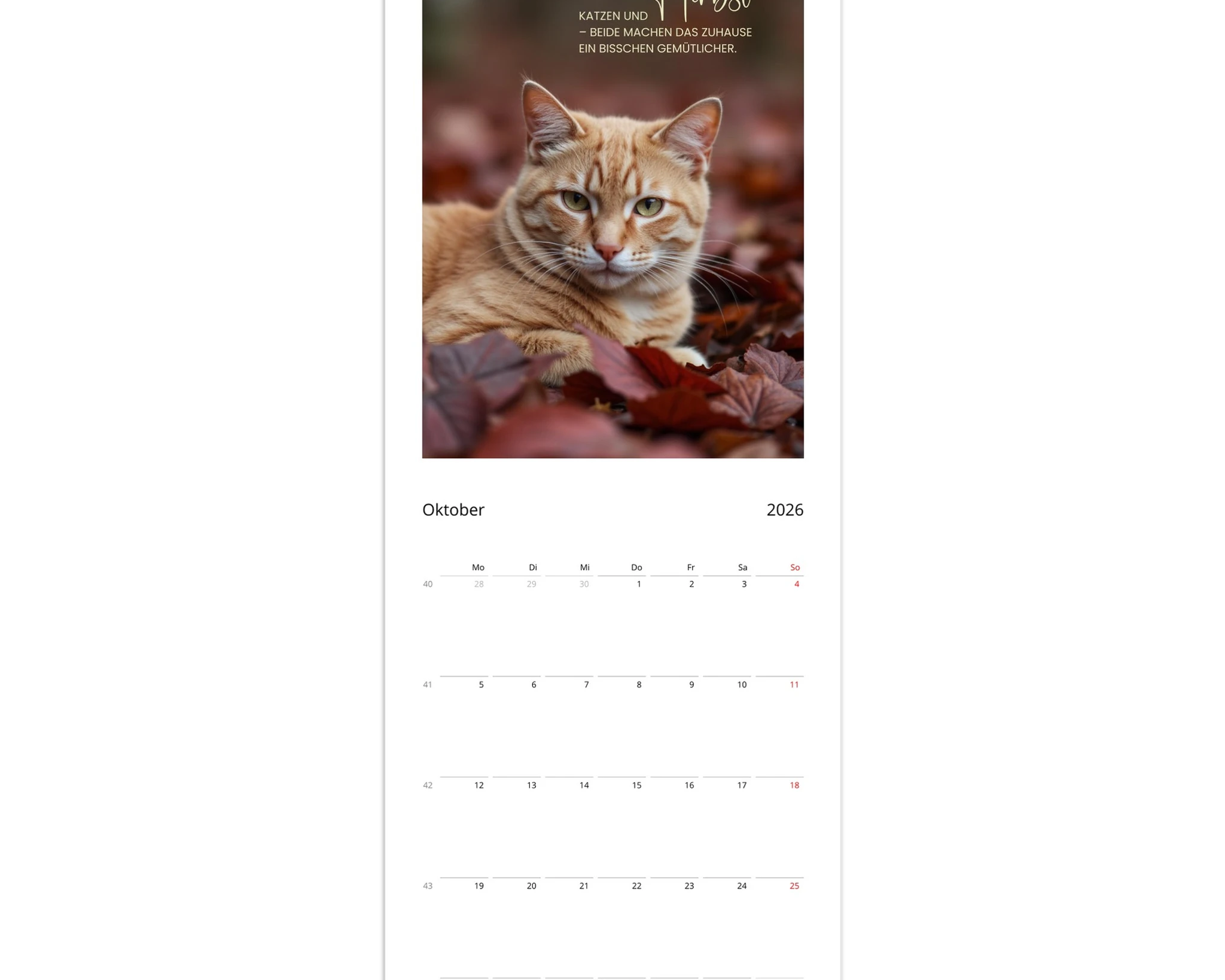 d488ced7-f8b8-42e5-97fc-f6a341e73bd2