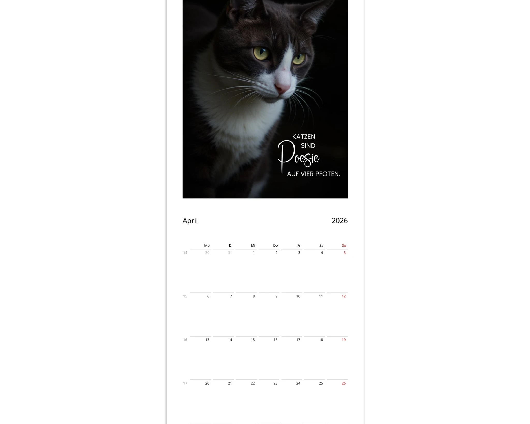 dc7d374e-81c7-486a-9bae-820b127de3e8