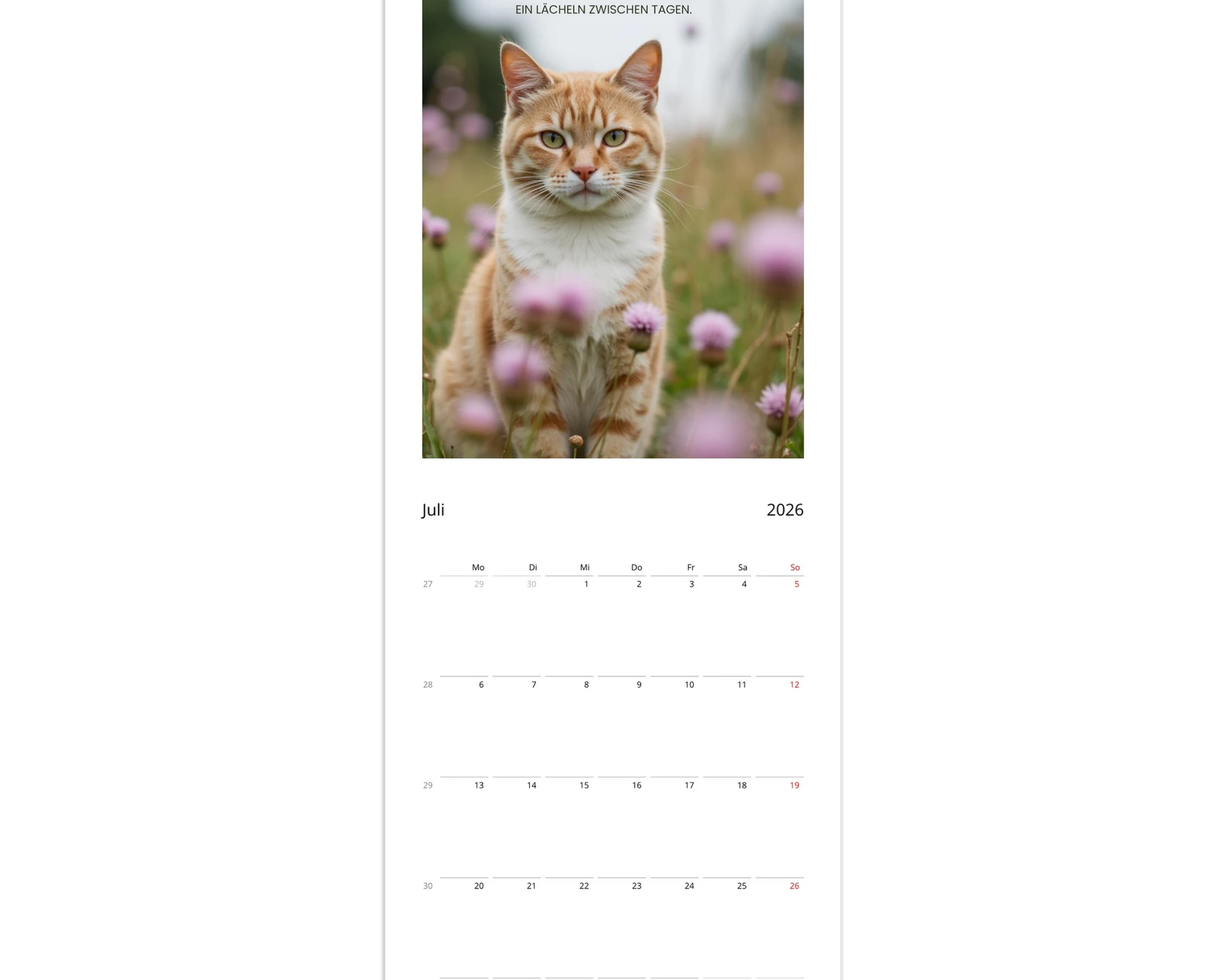 dddc2c93-70d8-41d4-b5a8-b09781afc7fb