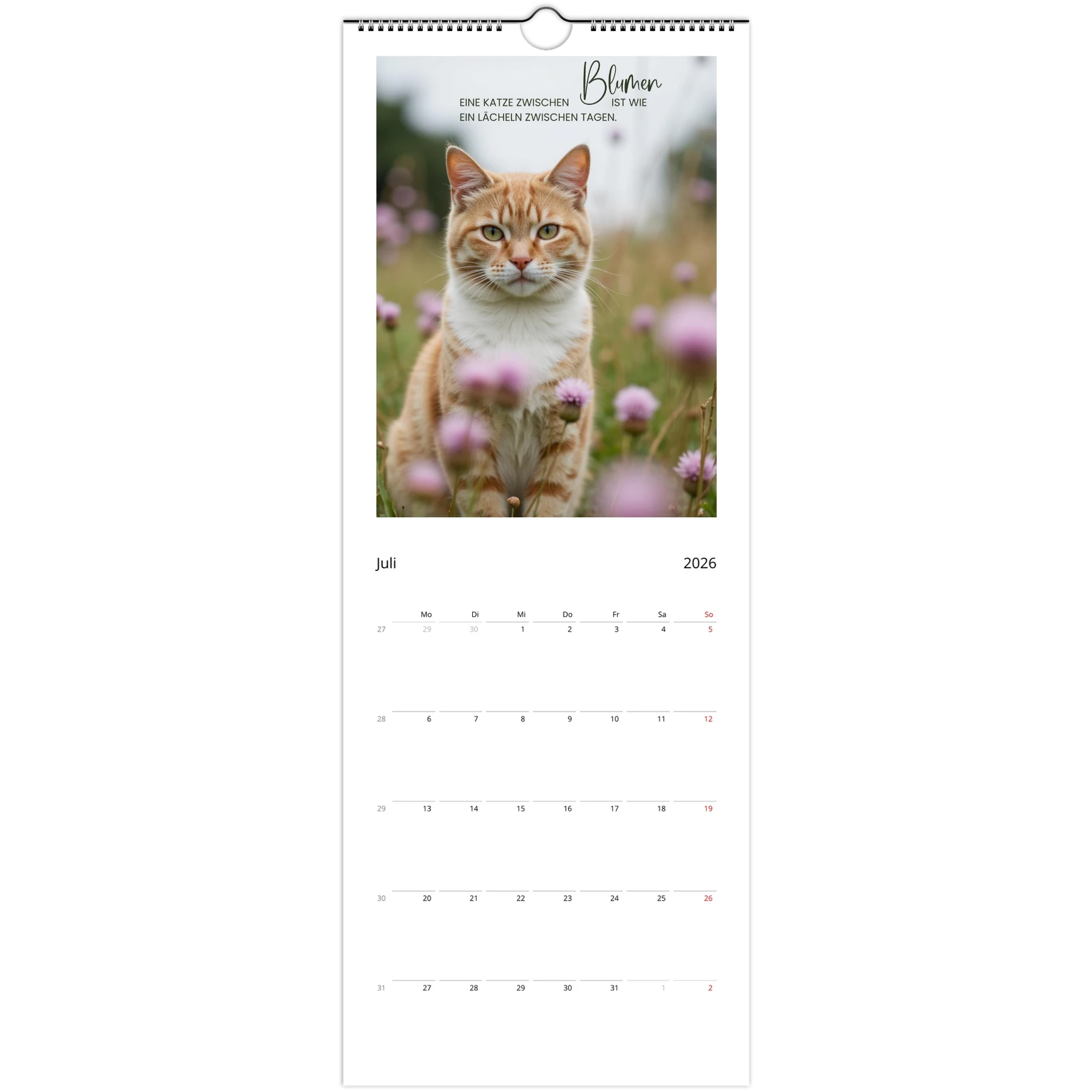 dddc2c93-70d8-41d4-b5a8-b09781afc7fb