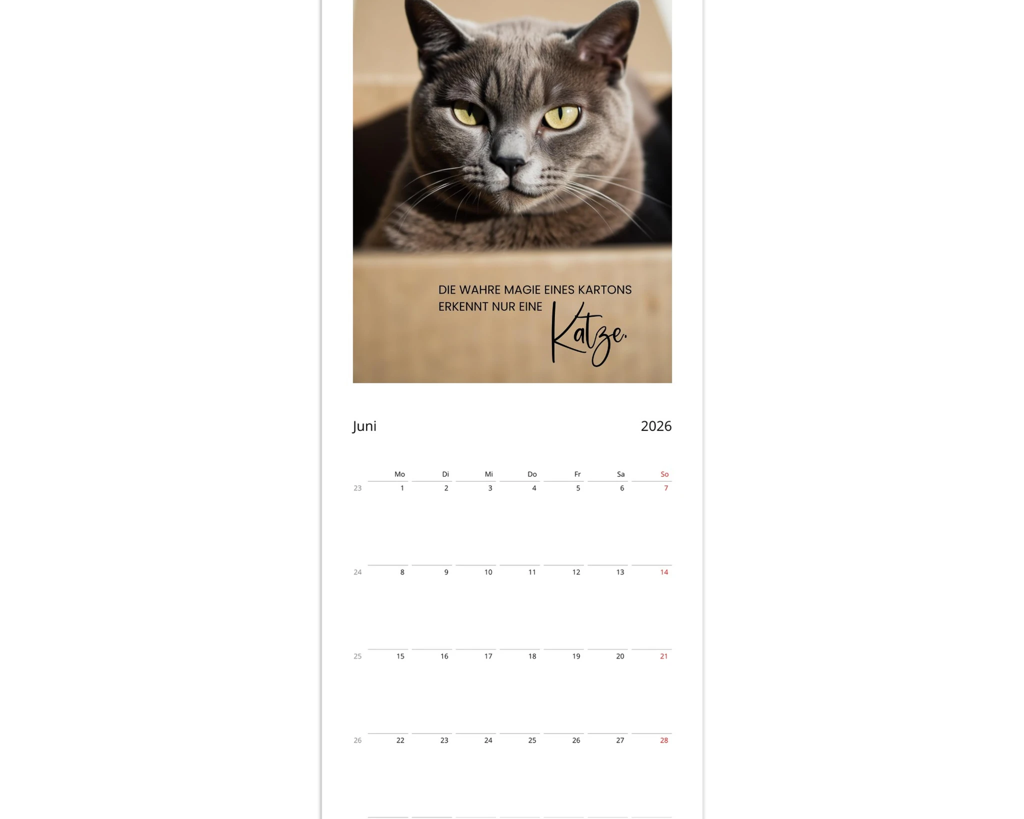 de3f95d0-4786-4882-8a0c-465f30d1a722