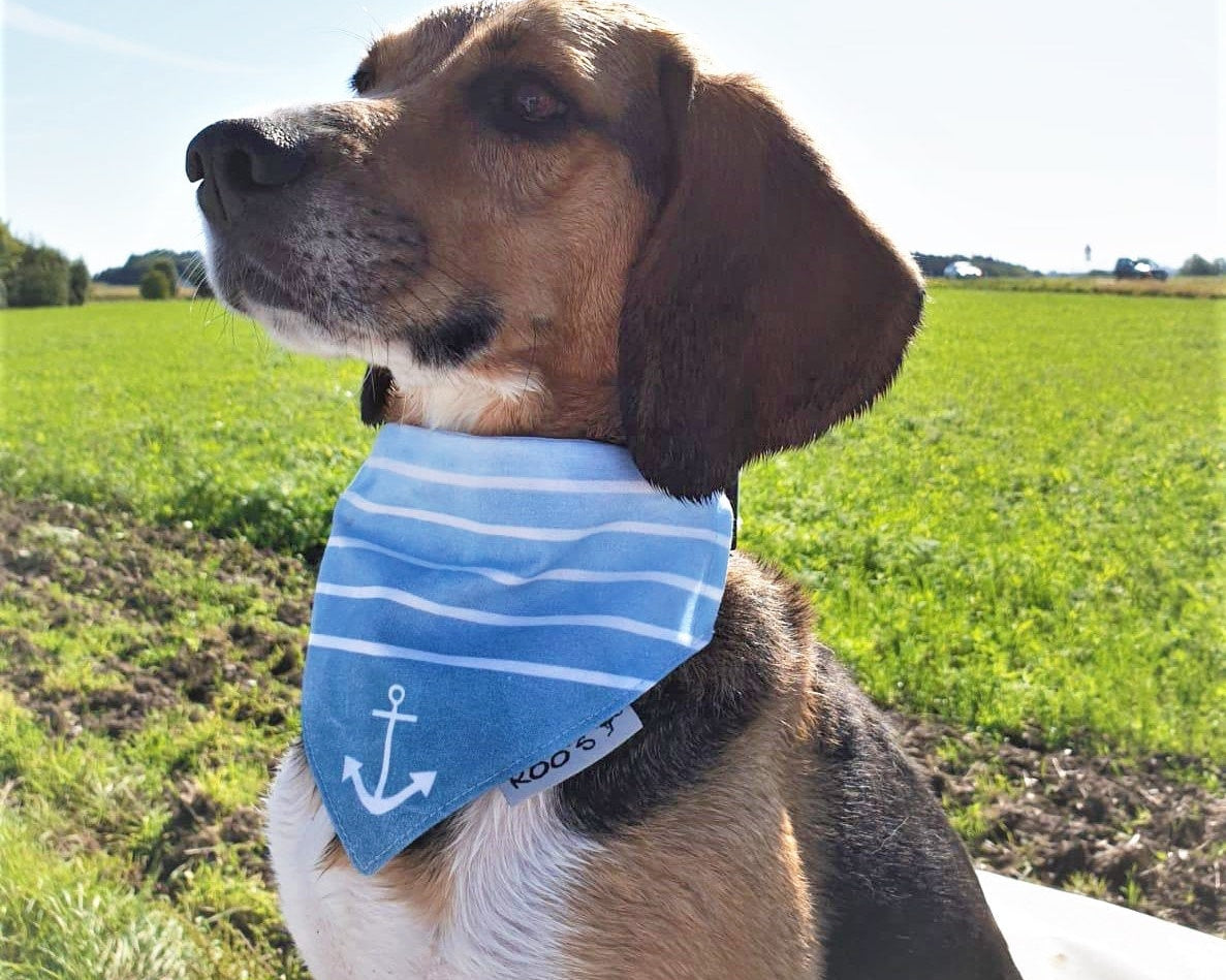 Maritimes Hundehalstuch "Sylt" | hellblau oder rosa | Hunde Bandana aus Baumwolle | wird am Halsband befestigt