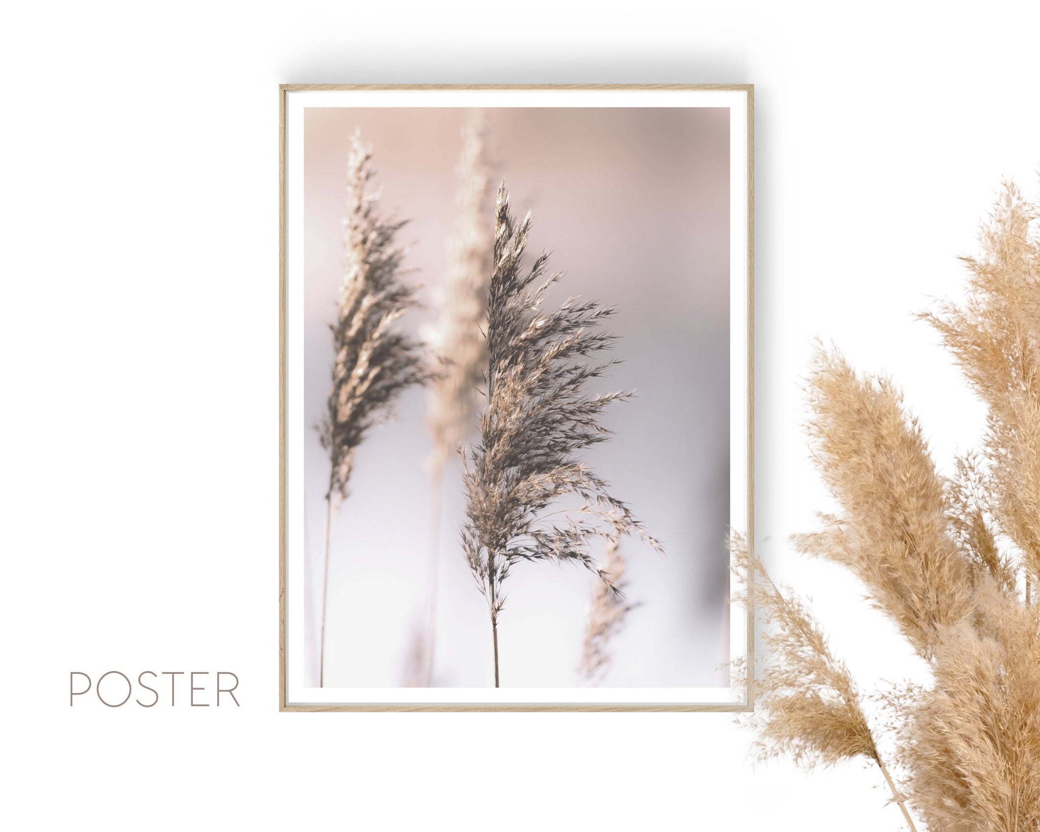 Poster | Blumen | natur | beige | Pampas Gräser Reed | zarte dezente Farben | Boho Naturposter
