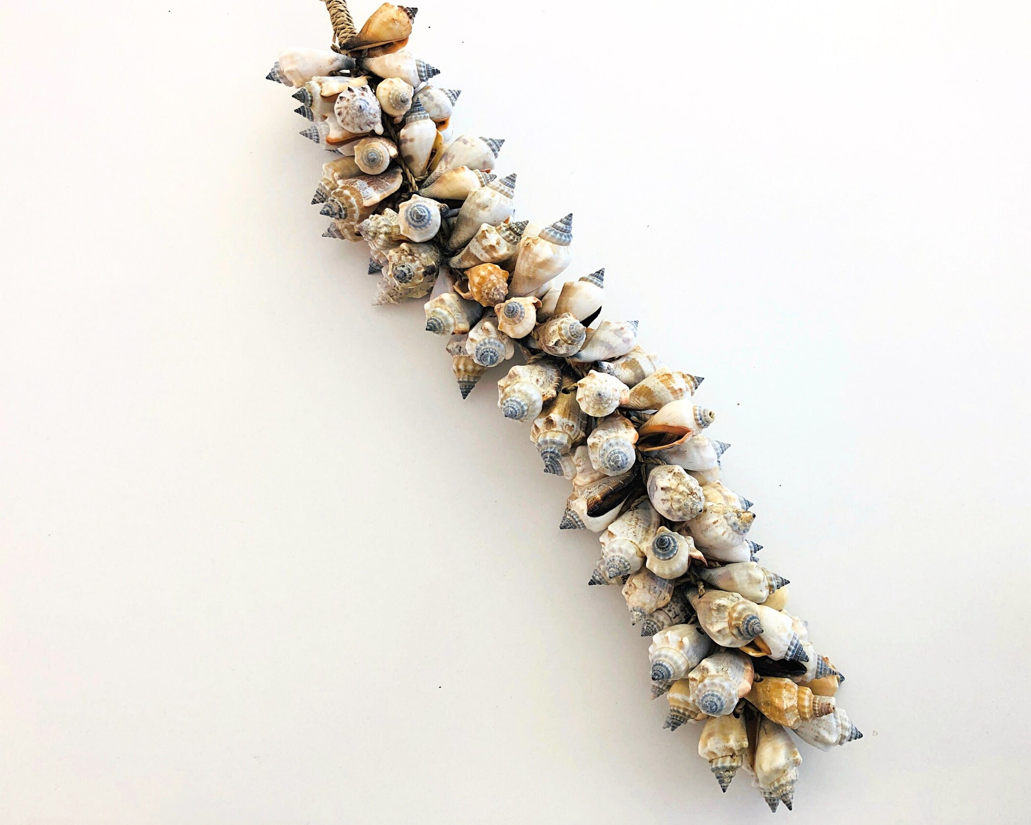 Muscheln | maritime Hängedeko Muscheldeko | Muschel-Hängedeko | Maritime Wanddeko | Deko aus echten Muscheln – ca. 33 cm