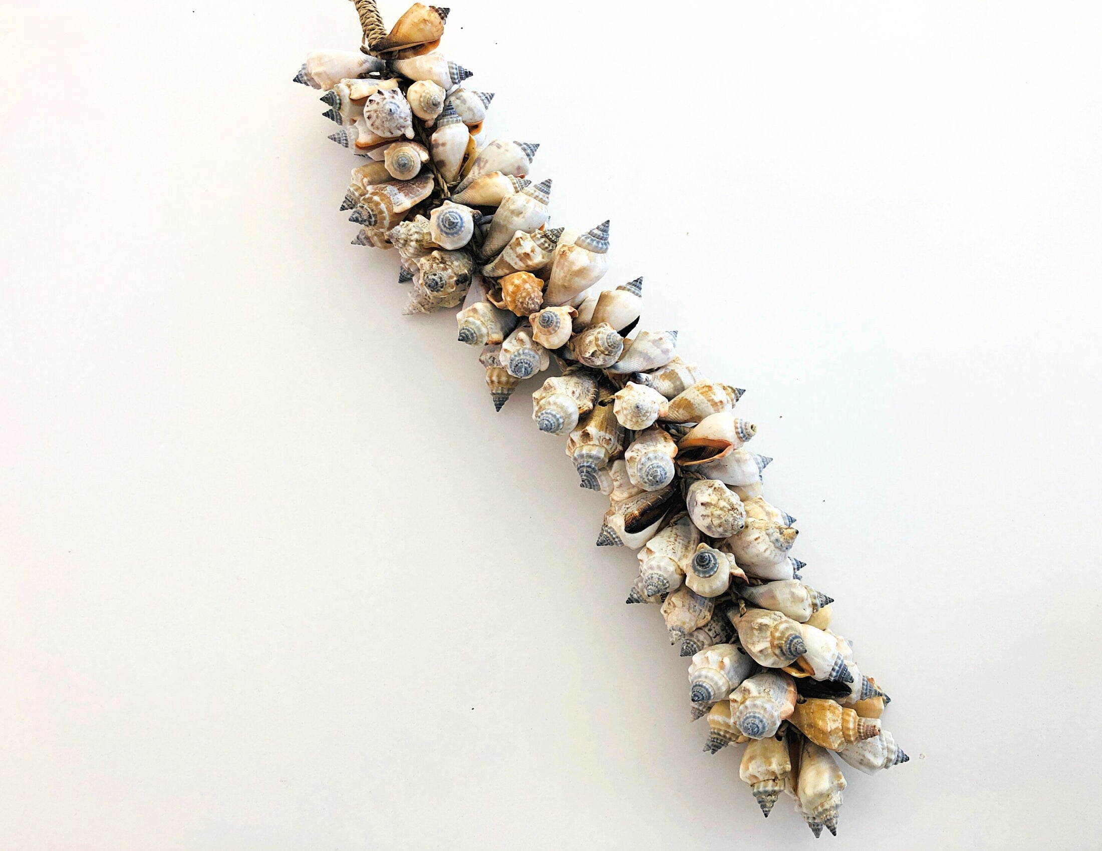 Muscheln | maritime Hängedeko Muscheldeko | Muschel-Hängedeko | Maritime Wanddeko | Deko aus echten Muscheln – ca. 33 cm
