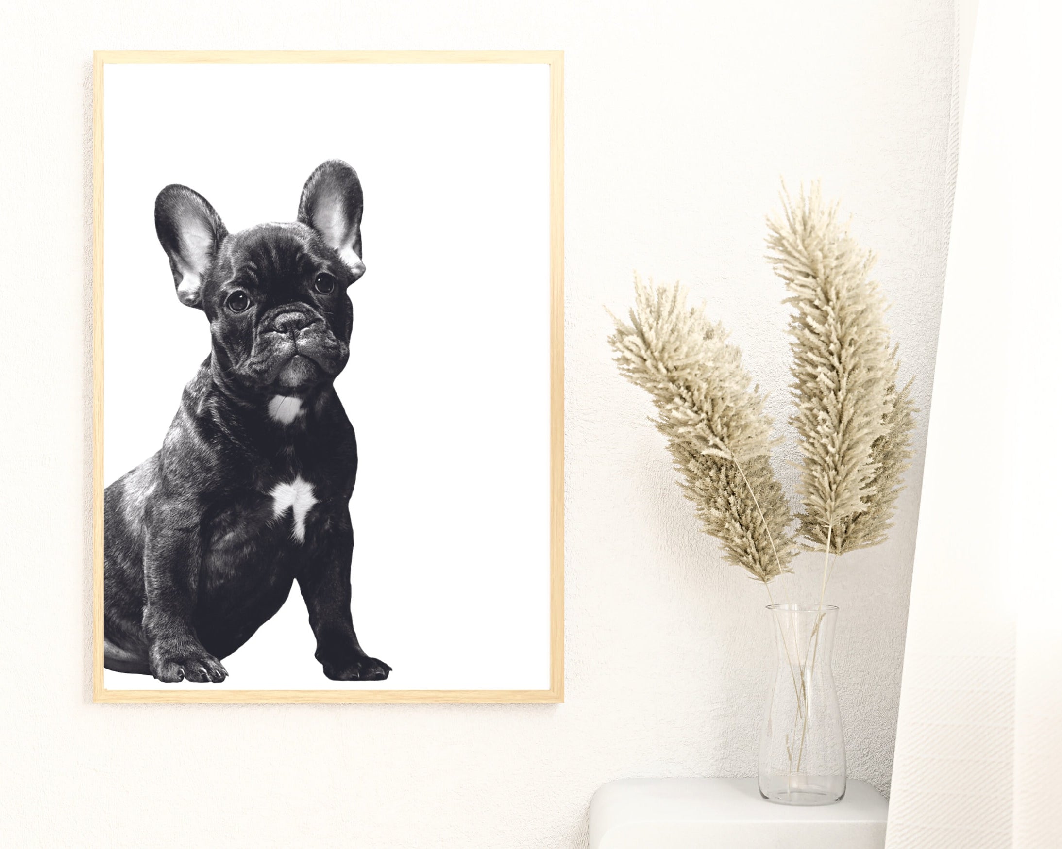 Hunde Poster | schwarz weiß | Foto Kunstdruck | French Bulldogge Frenchie