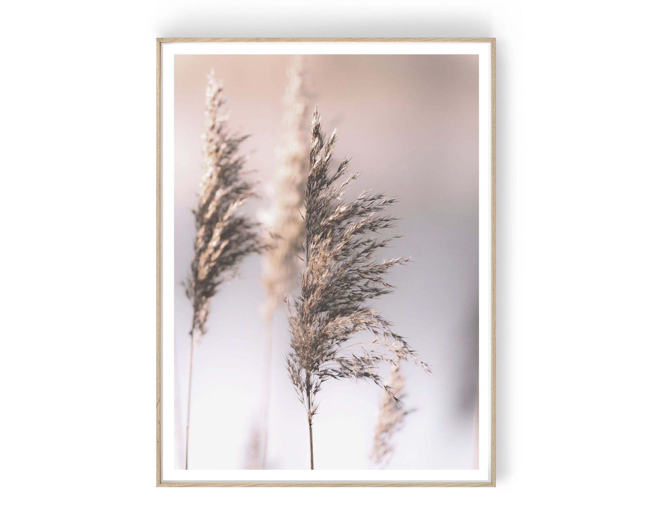 Poster | Blumen | natur | beige | Pampas Gräser Reed | zarte dezente Farben | Boho Naturposter