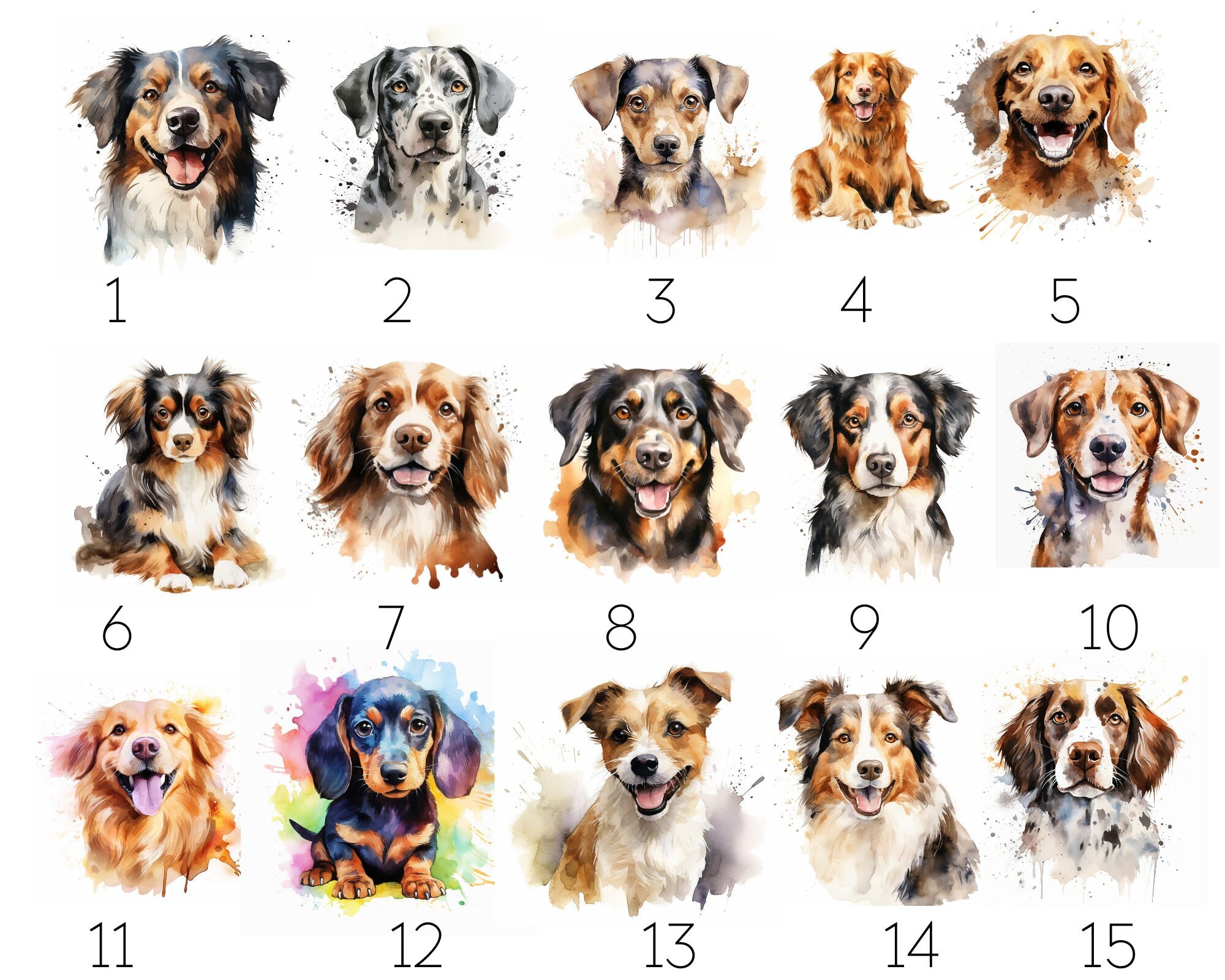 Heimtierausweis mit Illustration | personalisierte Hülle