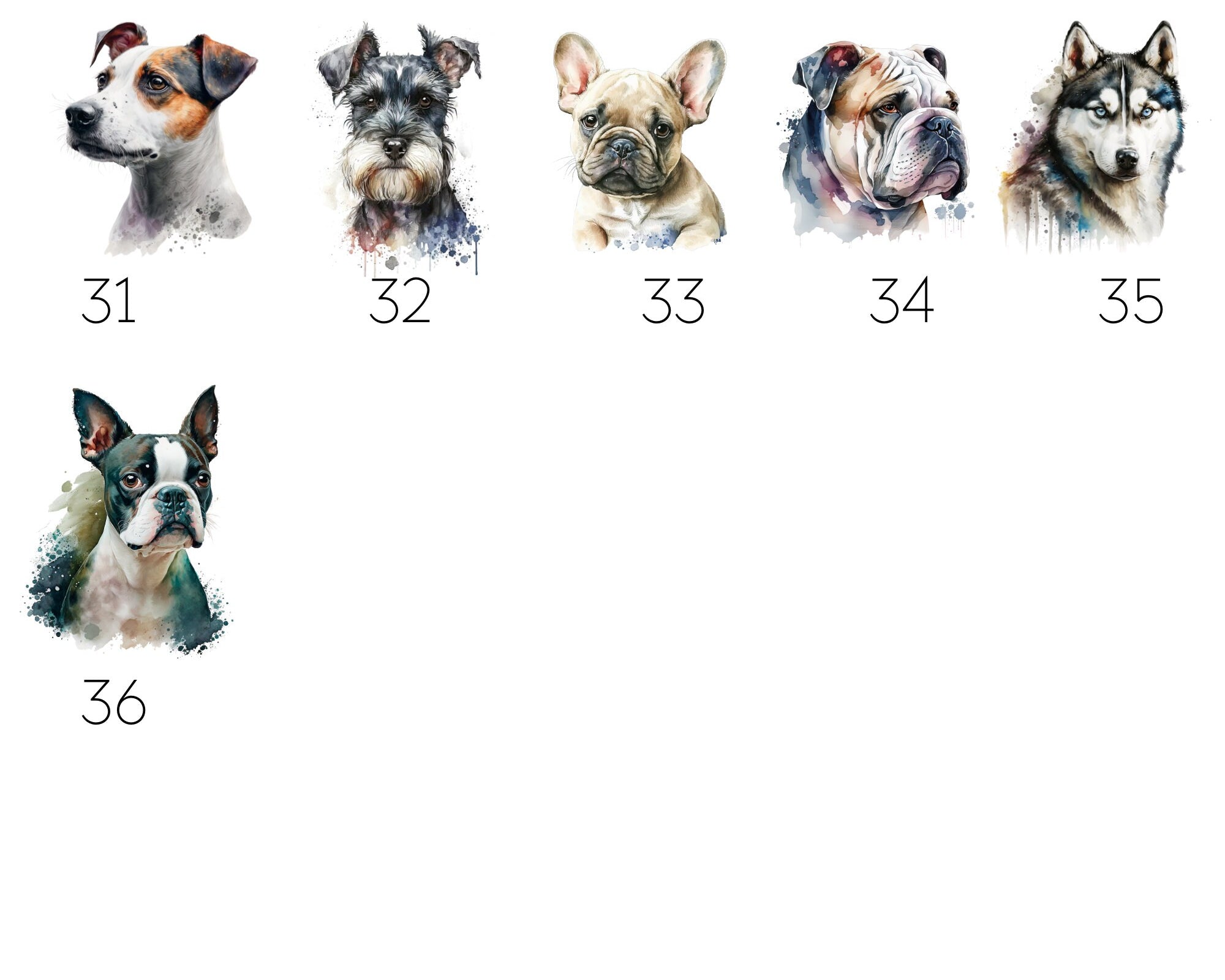 Heimtierausweis mit Illustration | personalisierte Hülle