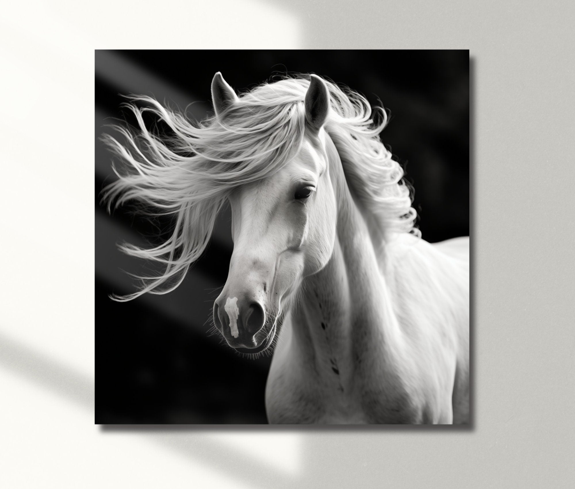 Pferd auf Acryl Glas | hochwertiges Acrylglas Bild