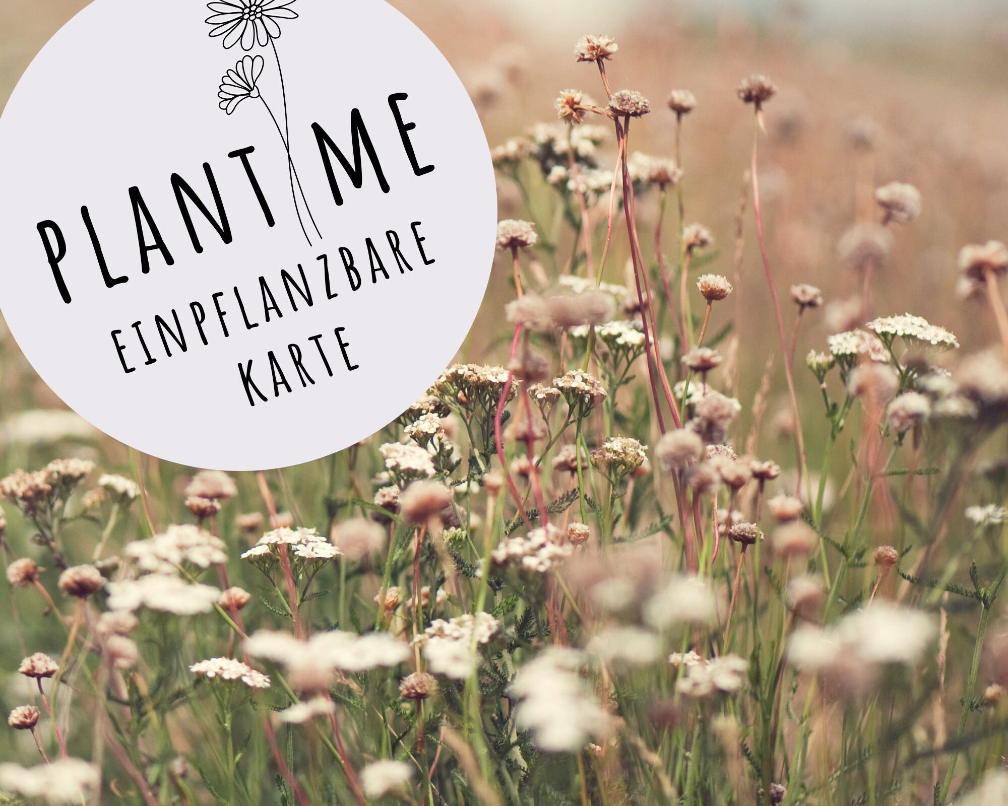 Karte zum Einpflanzen | Wildblumen Samen | A6 | Kraftpapierumschlag