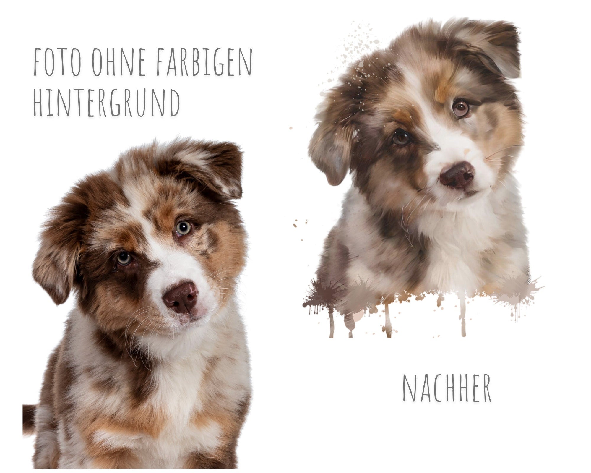 Heimtierausweis mit Aquarell Portrait von Deinem Tier | nach Foto | personalisierte Schutzhülle | Name