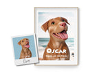 Tierportrait im Pixar Style | Portrait als 3D Cartoon | Film Plakat Poster | Portrait Geschenk Tierbesitzer