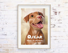 Tierportrait im Pixar Style | Portrait als 3D Cartoon | Film Plakat Poster | Portrait Geschenk Tierbesitzer