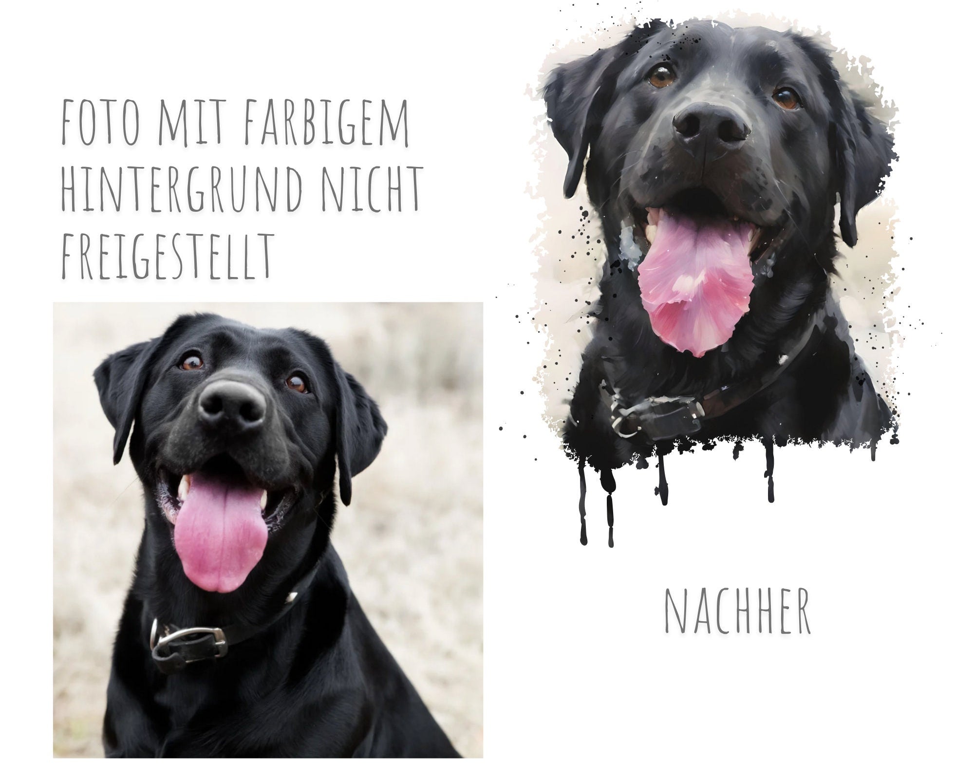 Heimtierausweis mit Aquarell Portrait von Deinem Tier | nach Foto | personalisierte Schutzhülle | Name