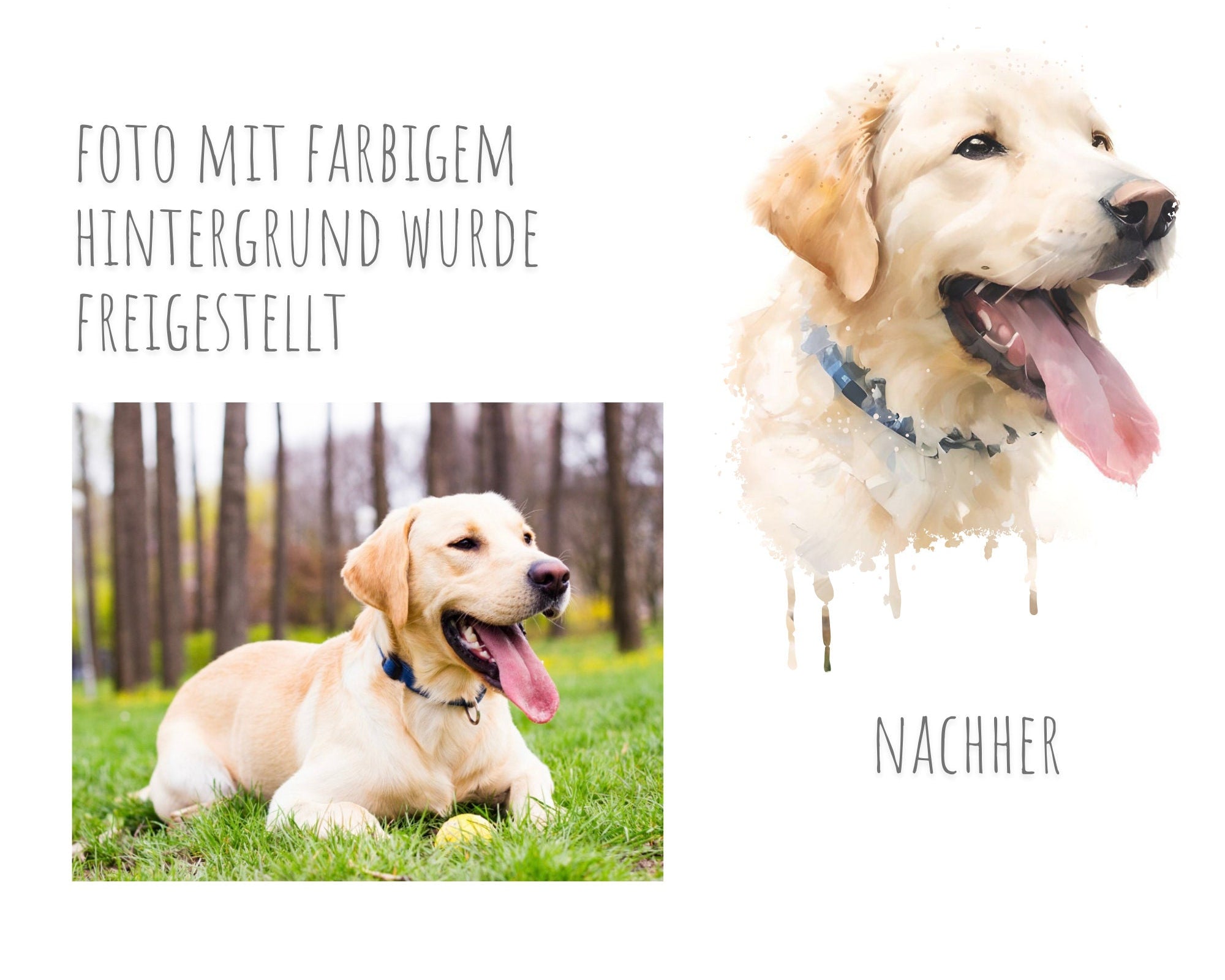 Heimtierausweis mit Aquarell Portrait von Deinem Tier | nach Foto | personalisierte Schutzhülle | Name