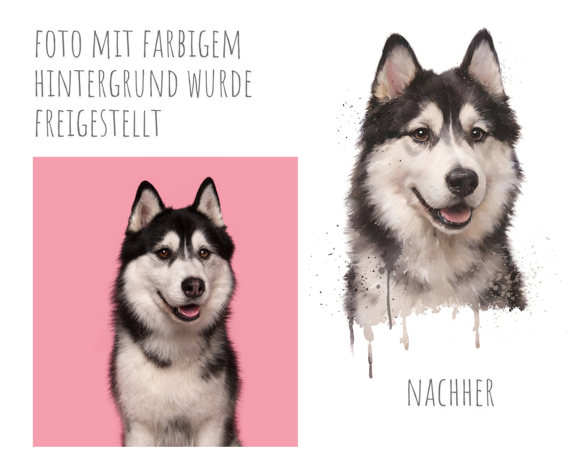 Heimtierausweis mit Aquarell Portrait von Deinem Tier | nach Foto | personalisierte Schutzhülle | Name