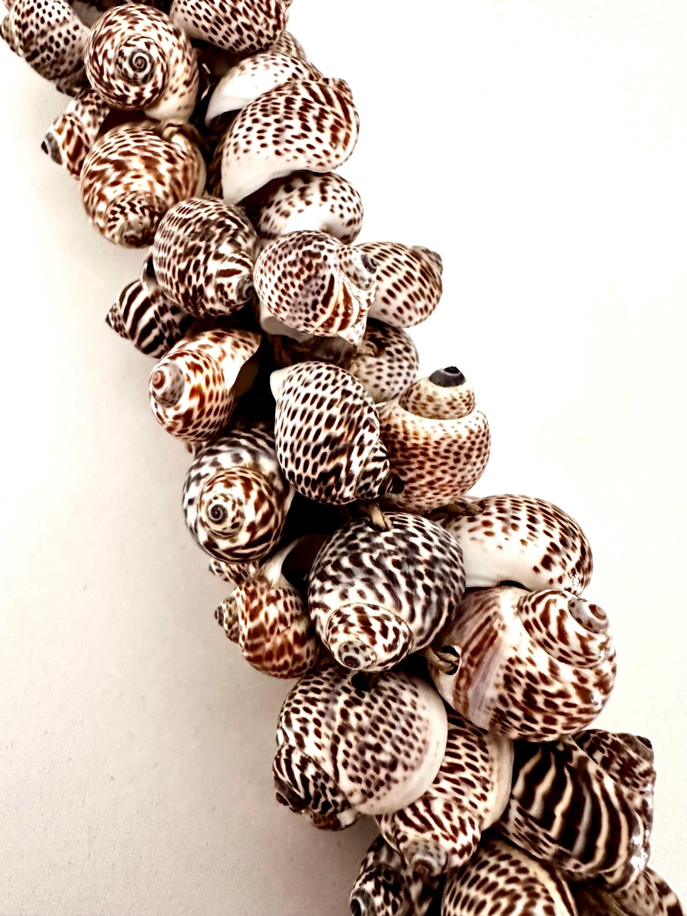 Muscheln | maritime Hängedeko Muscheldeko | Muschel-Hängedeko | Maritime Wanddeko | Deko aus echten Muscheln – ca. 33 cm