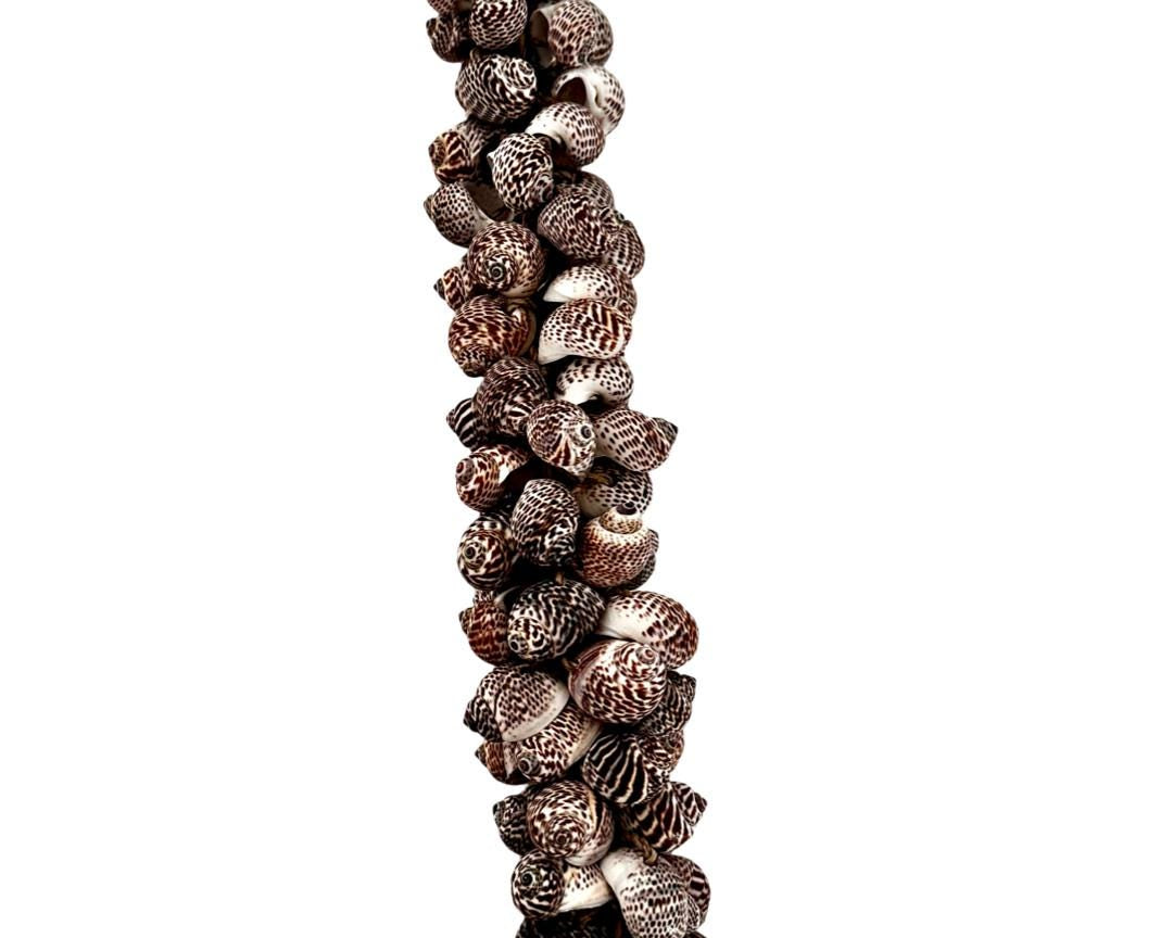 Muscheln | maritime Hängedeko Muscheldeko | Muschel-Hängedeko | Maritime Wanddeko | Deko aus echten Muscheln – ca. 33 cm