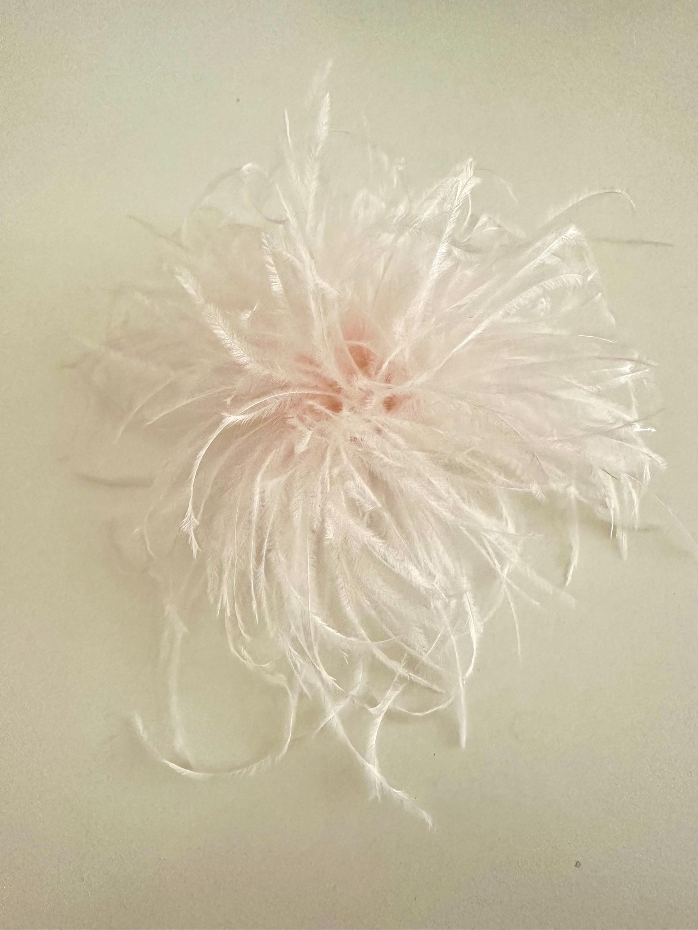 Federbrosche | Brosche Federn | Anstecknadel und Clip | Federball zum Anstecken | viele Farben