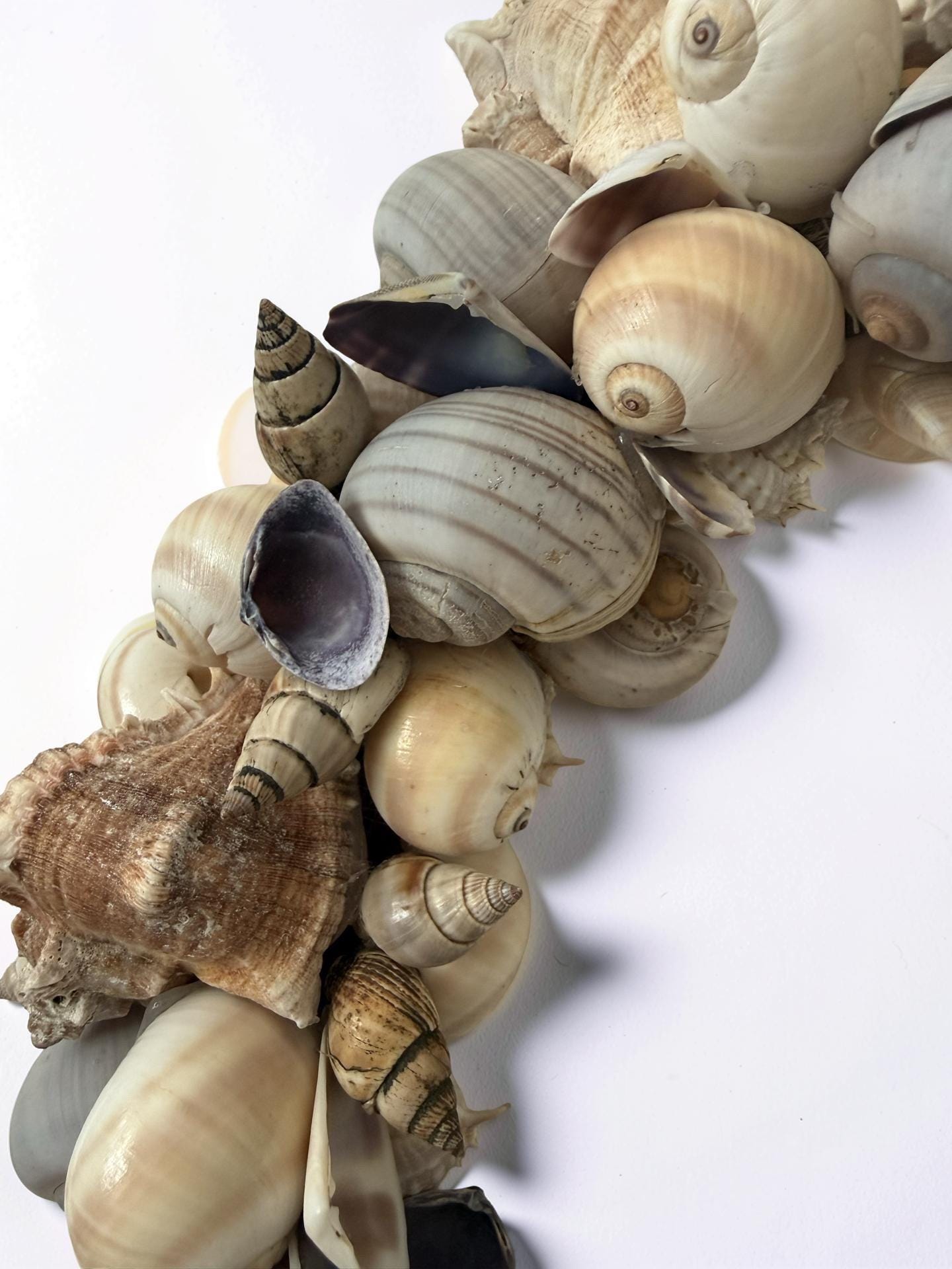Muschelkranz Natur – handgefertigter Kranz aus Muscheln & Schneckenhäusern | Maritime Deko in Beige und Grau | Beach House Stil
