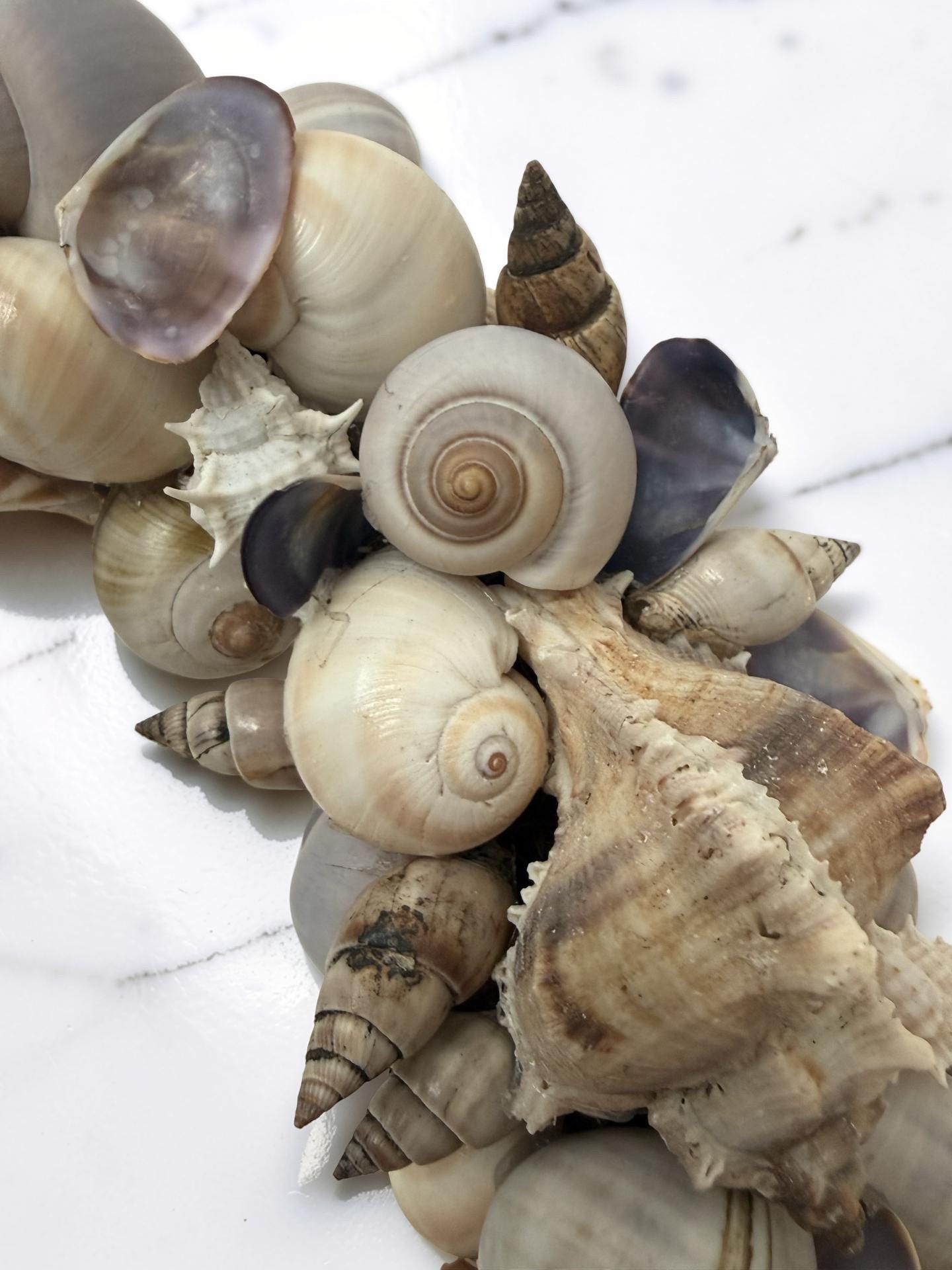 Muschelkranz Natur – handgefertigter Kranz aus Muscheln & Schneckenhäusern | Maritime Deko in Beige und Grau | Beach House Stil