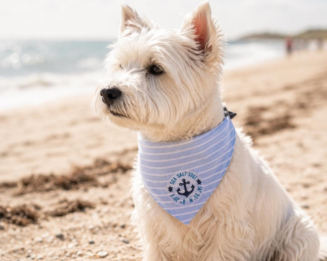 Maritimes Hundehalstuch "Sylt" | hellblau oder rosa | Hunde Bandana aus Baumwolle | wird am Halsband befestigt