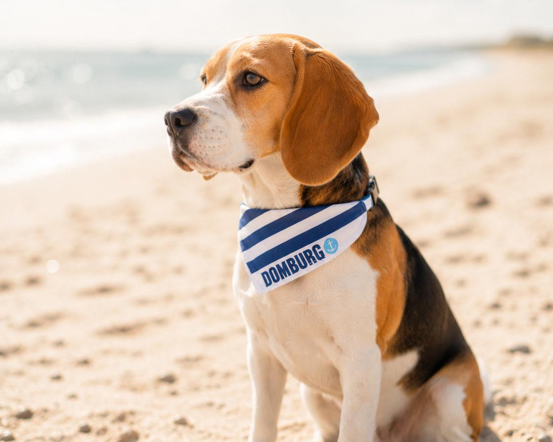 Maritimes Hundehalstuch Domburg | gestreift | Hunde Bandana aus Baumwolle | wird übers Halsband gestreift