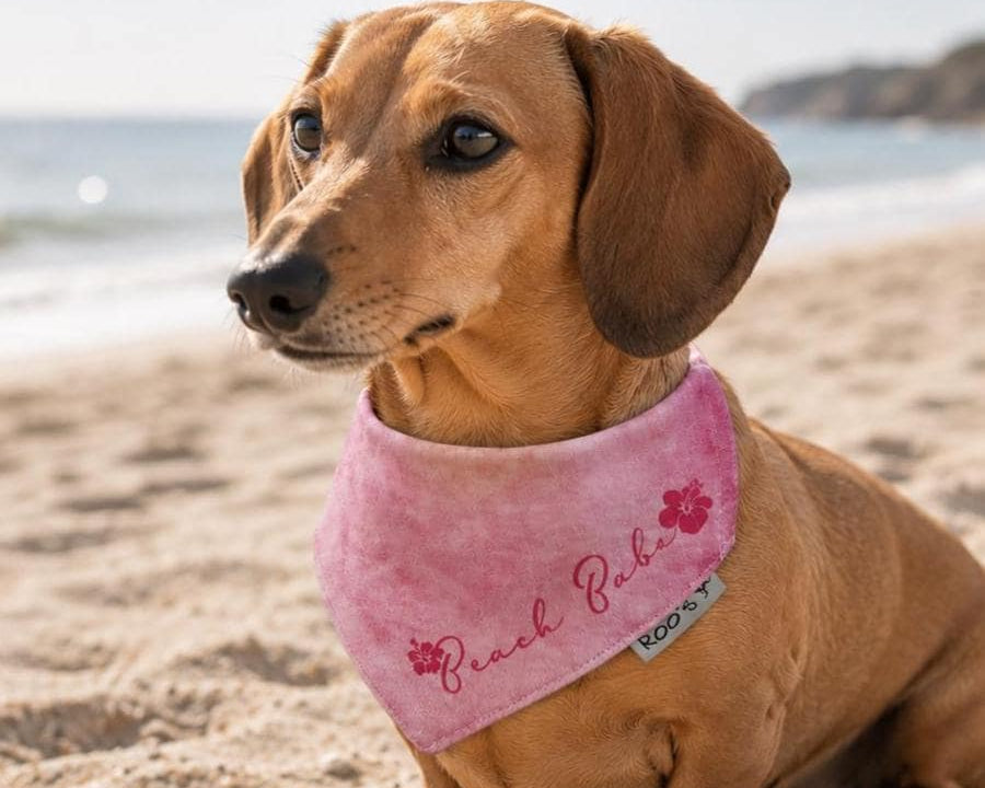 Hundehalstuch "Beach Babe" | pink | Hunde Bandana