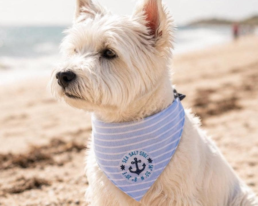 Maritimes Hundehalstuch "Sylt" | hellblau oder rosa | Hunde Bandana aus Baumwolle | wird am Halsband befestigt