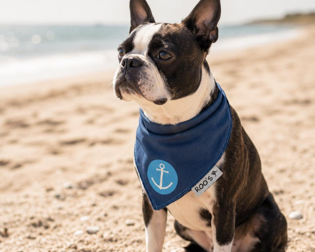 Maritimes Hundehalstuch mit Anker | dunkelblau mit türkis | Hunde Bandana aus Baumwolle | wird am Halsband befestigt