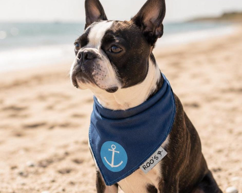 Maritimes Hundehalstuch mit Anker | dunkelblau mit türkis | Hunde Bandana aus Baumwolle | wird am Halsband befestigt