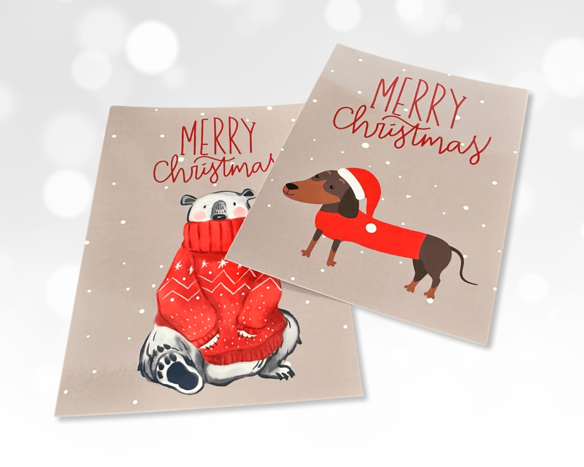 Karte Weihnachten | Eisbär oder Dackel | Merry Christmas - Roo's Gift Shop
