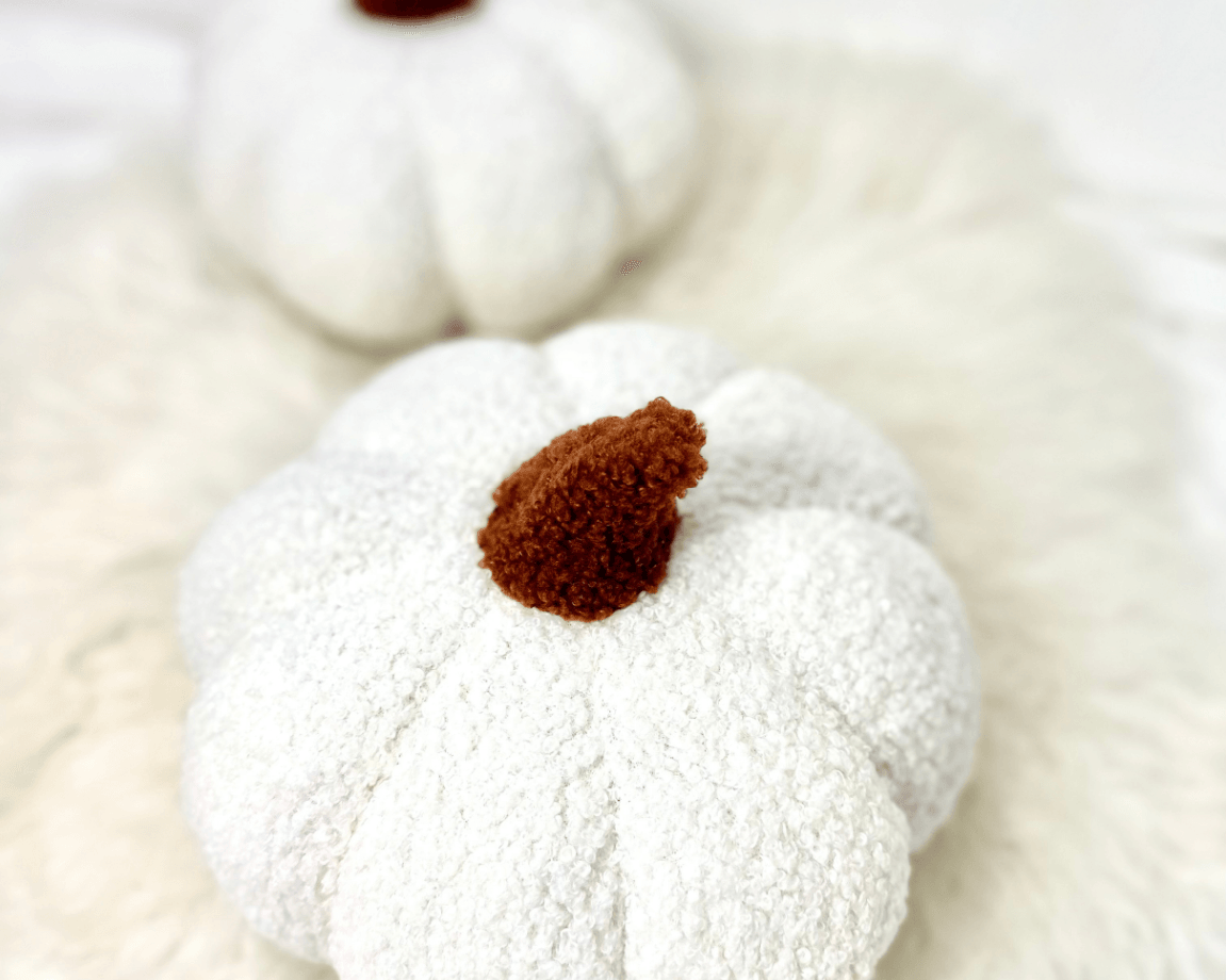 Kissen Kürbis | Kuschel Kürbis als Deko - Roo's Gift Shop